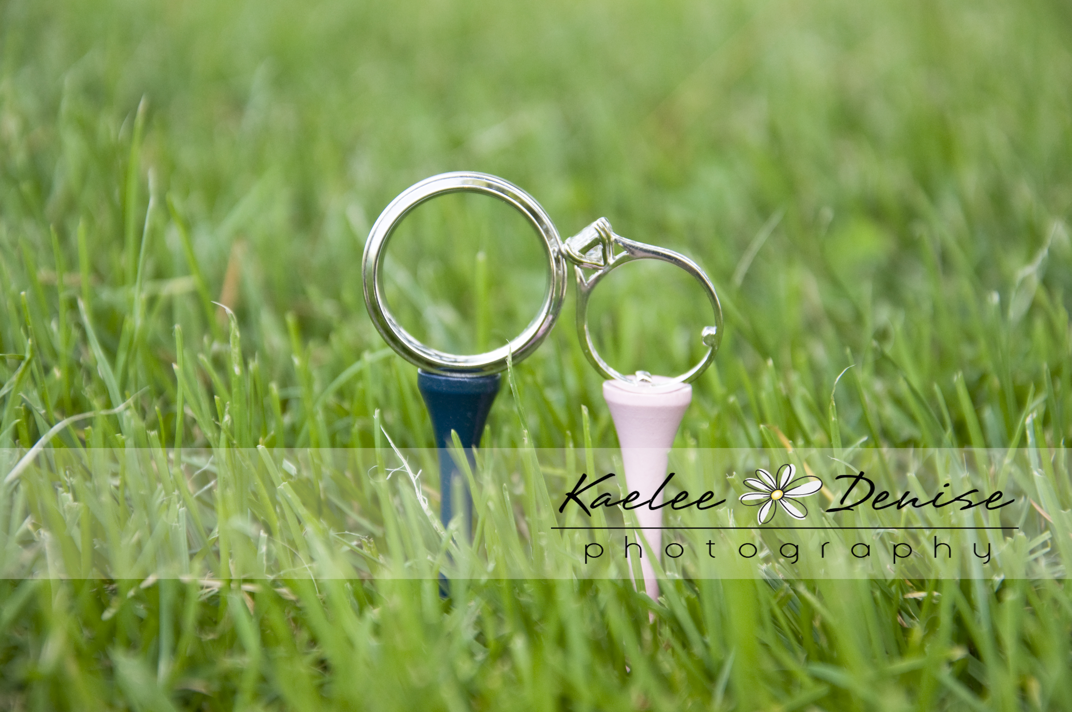 Kaelee Denise Photography