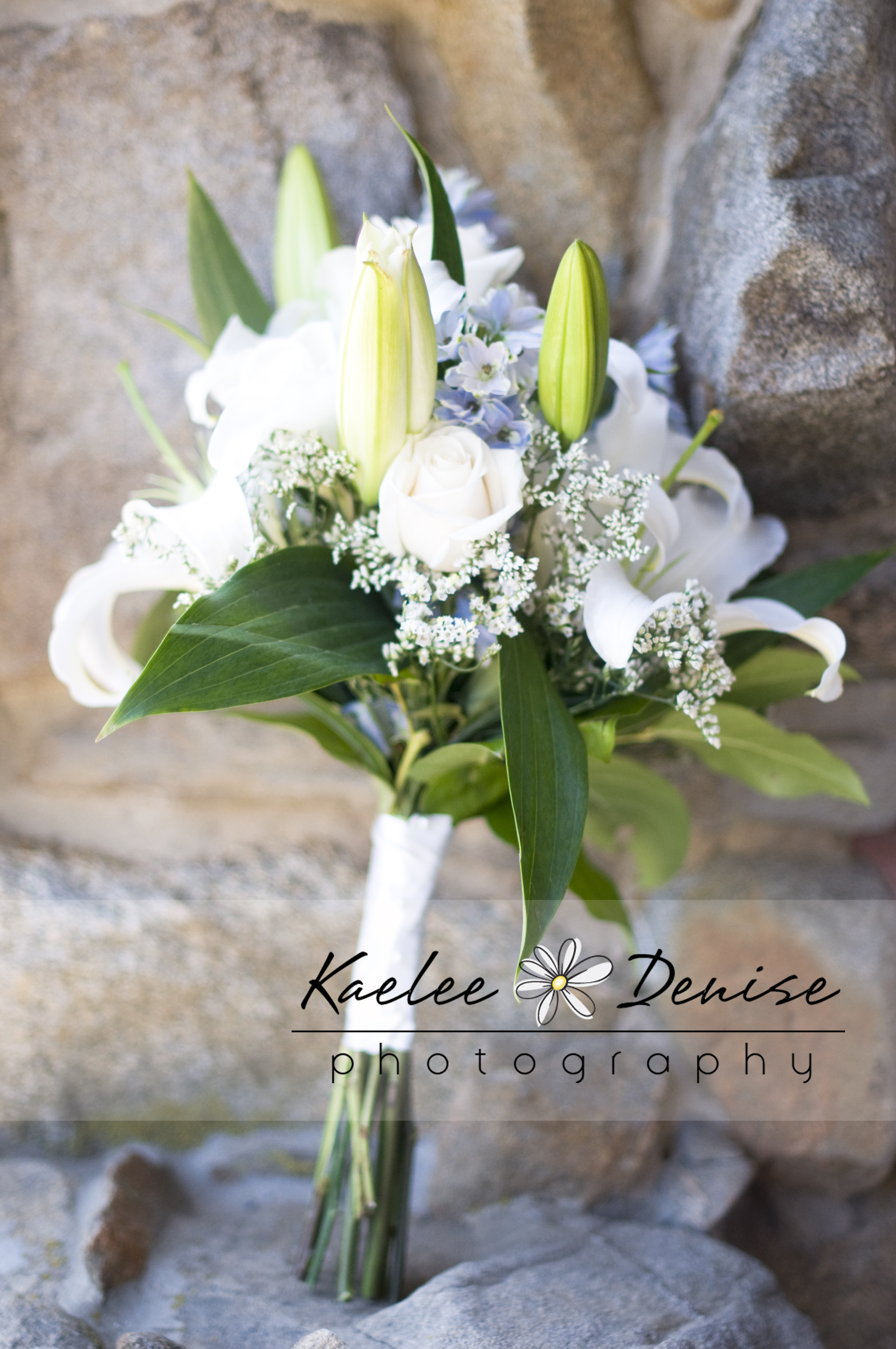 Kaelee Denise Photography