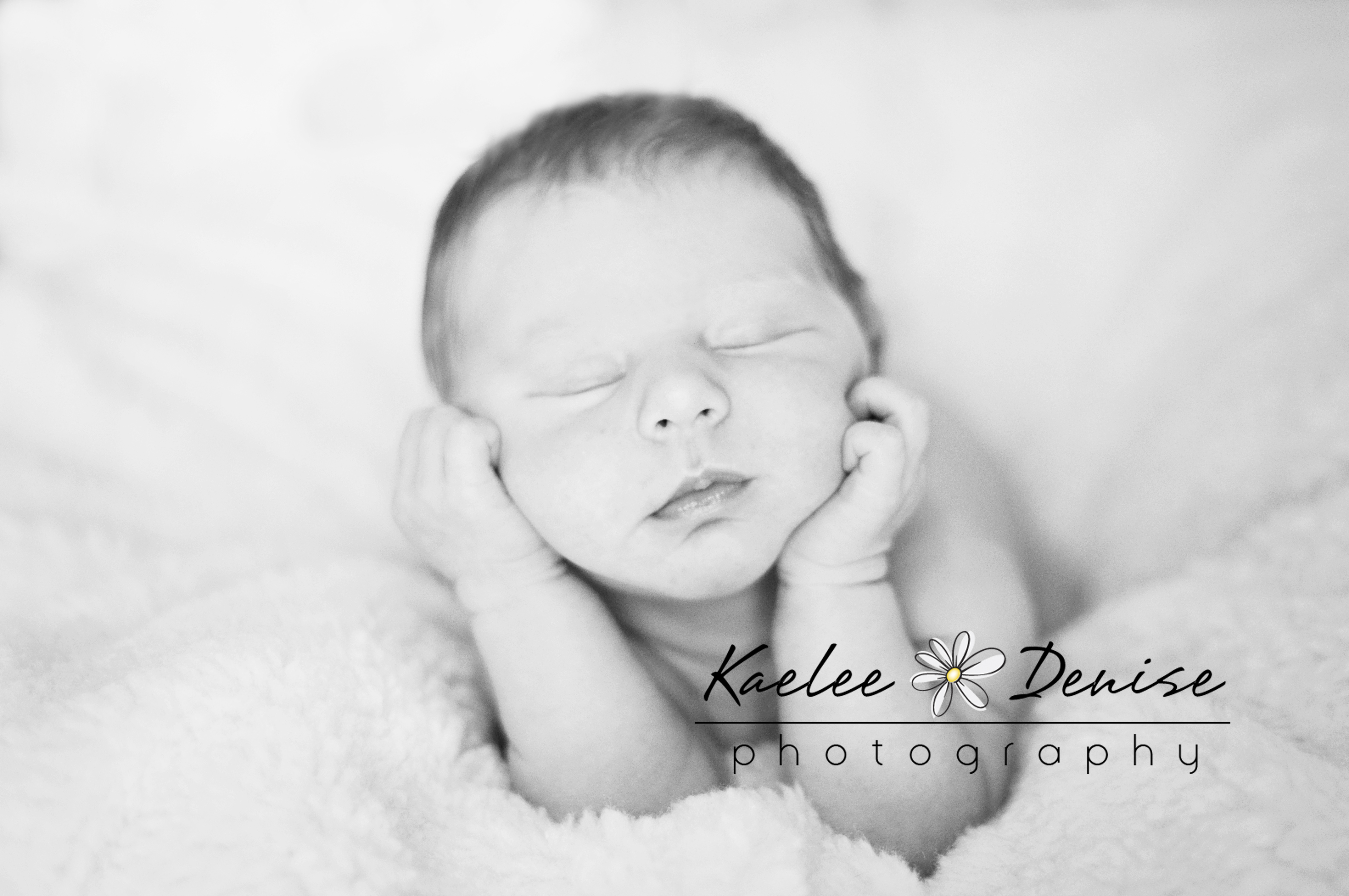 Kaelee Denise Photography