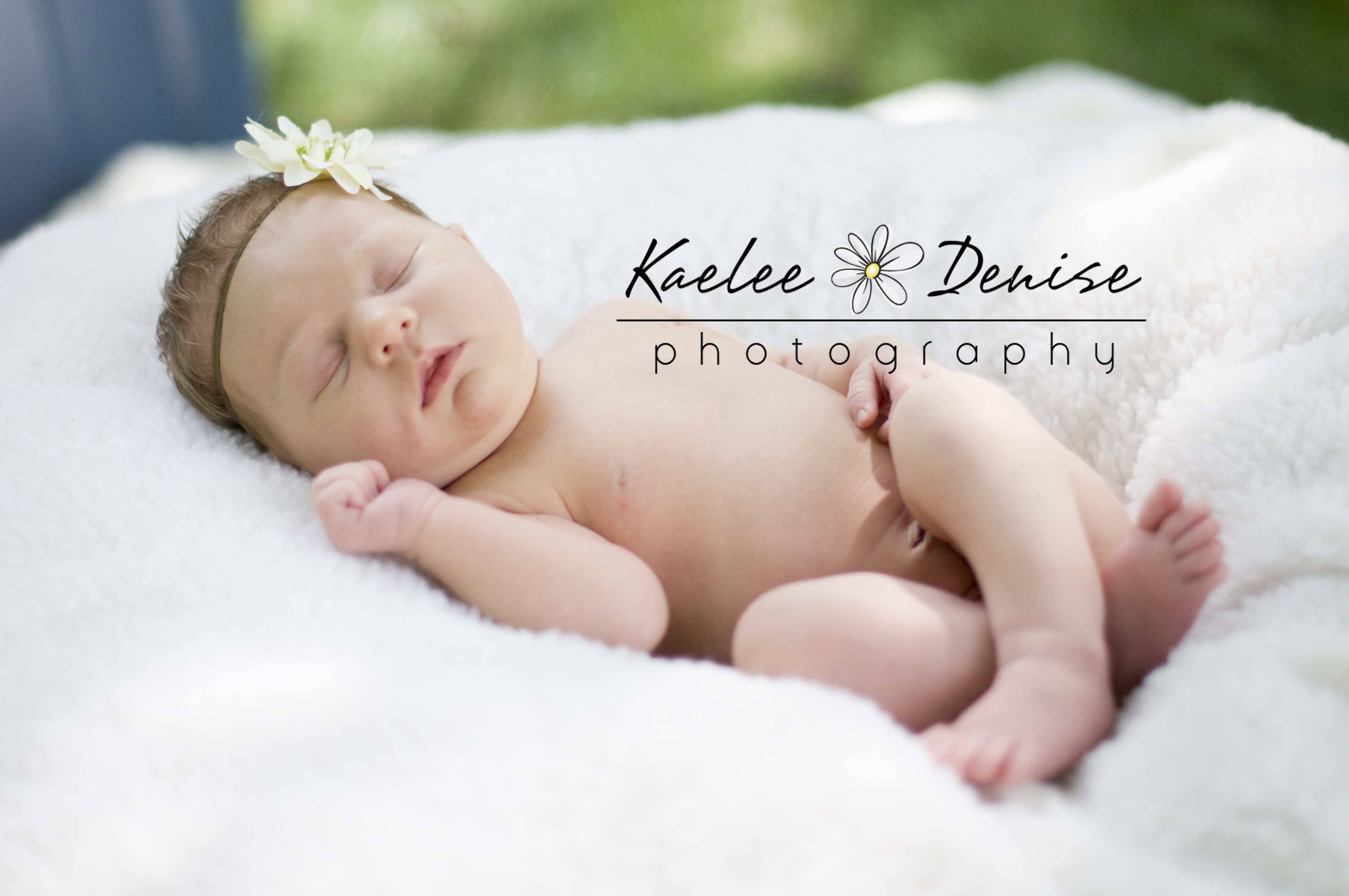 Kaelee Denise Photography