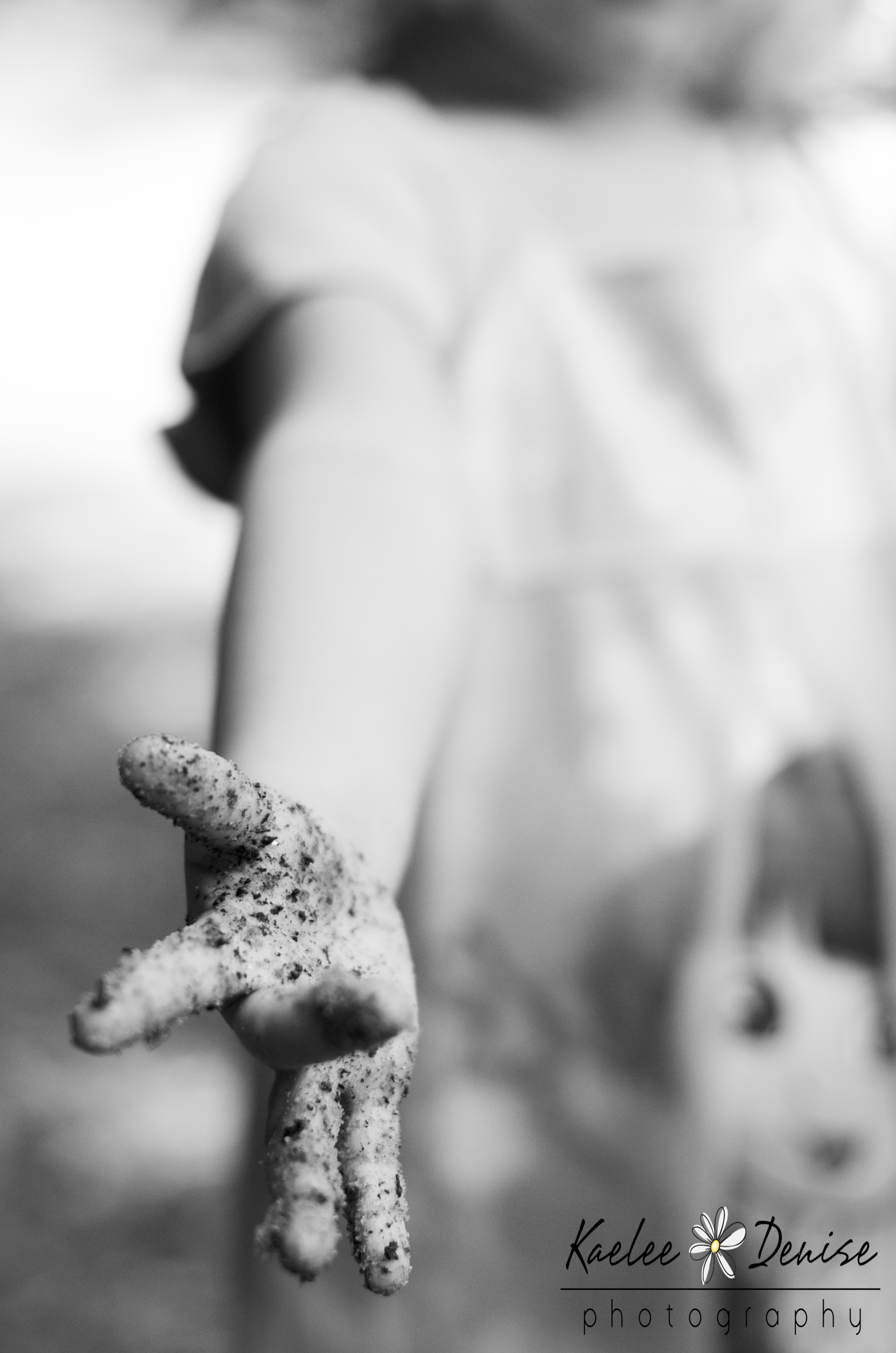 Kaelee Denise Photography