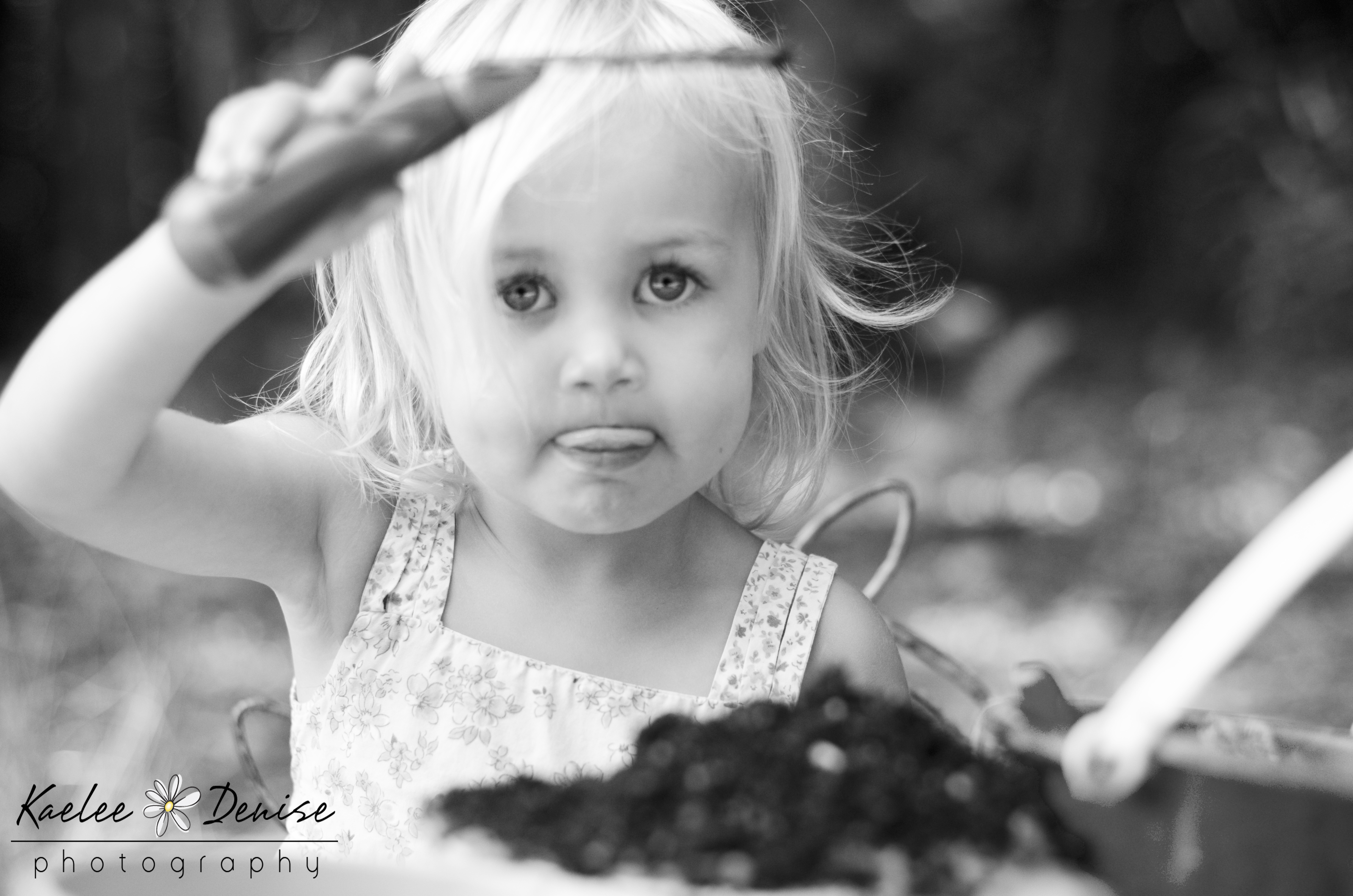 Kaelee Denise Photography