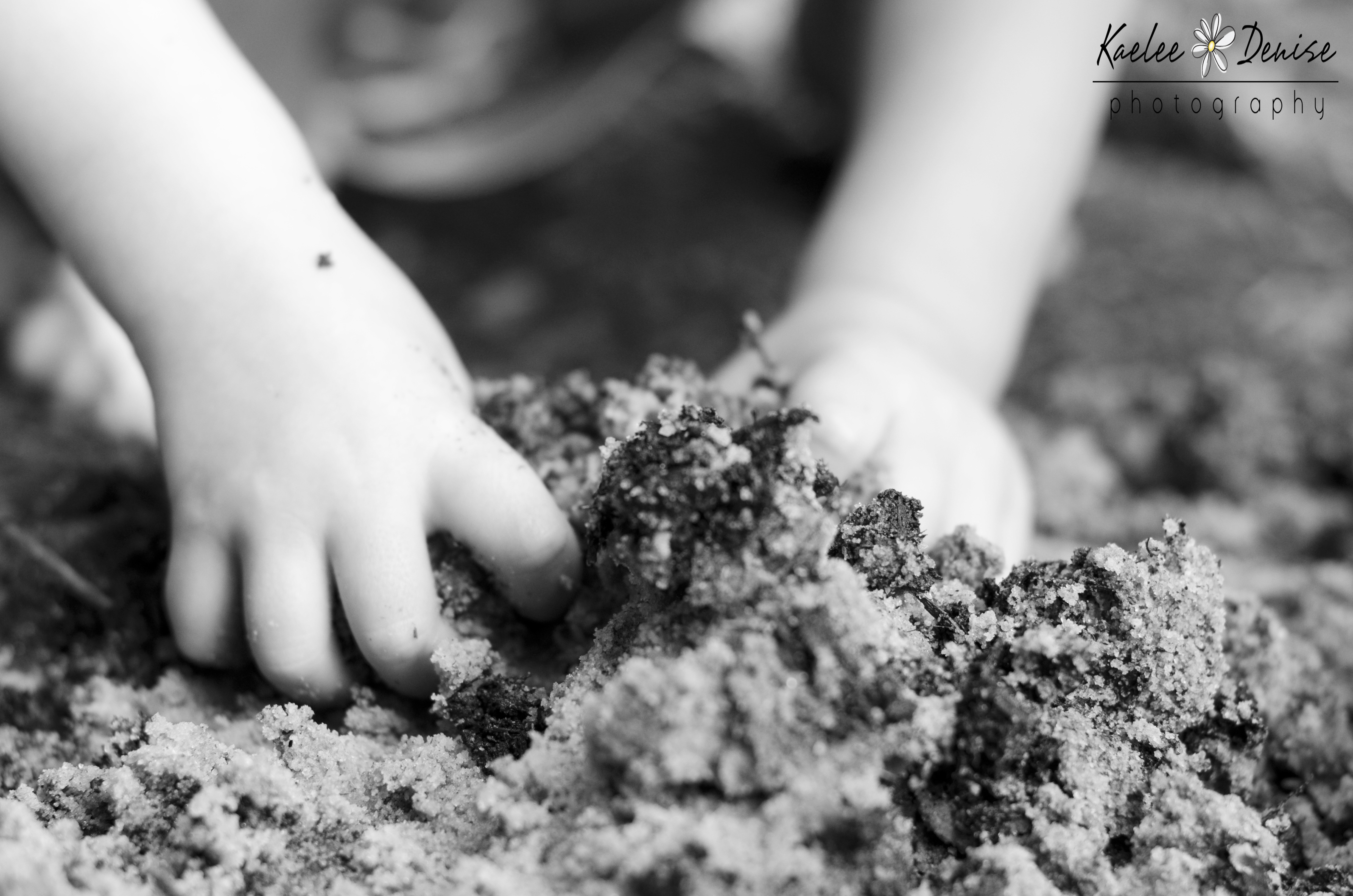 Kaelee Denise Photography