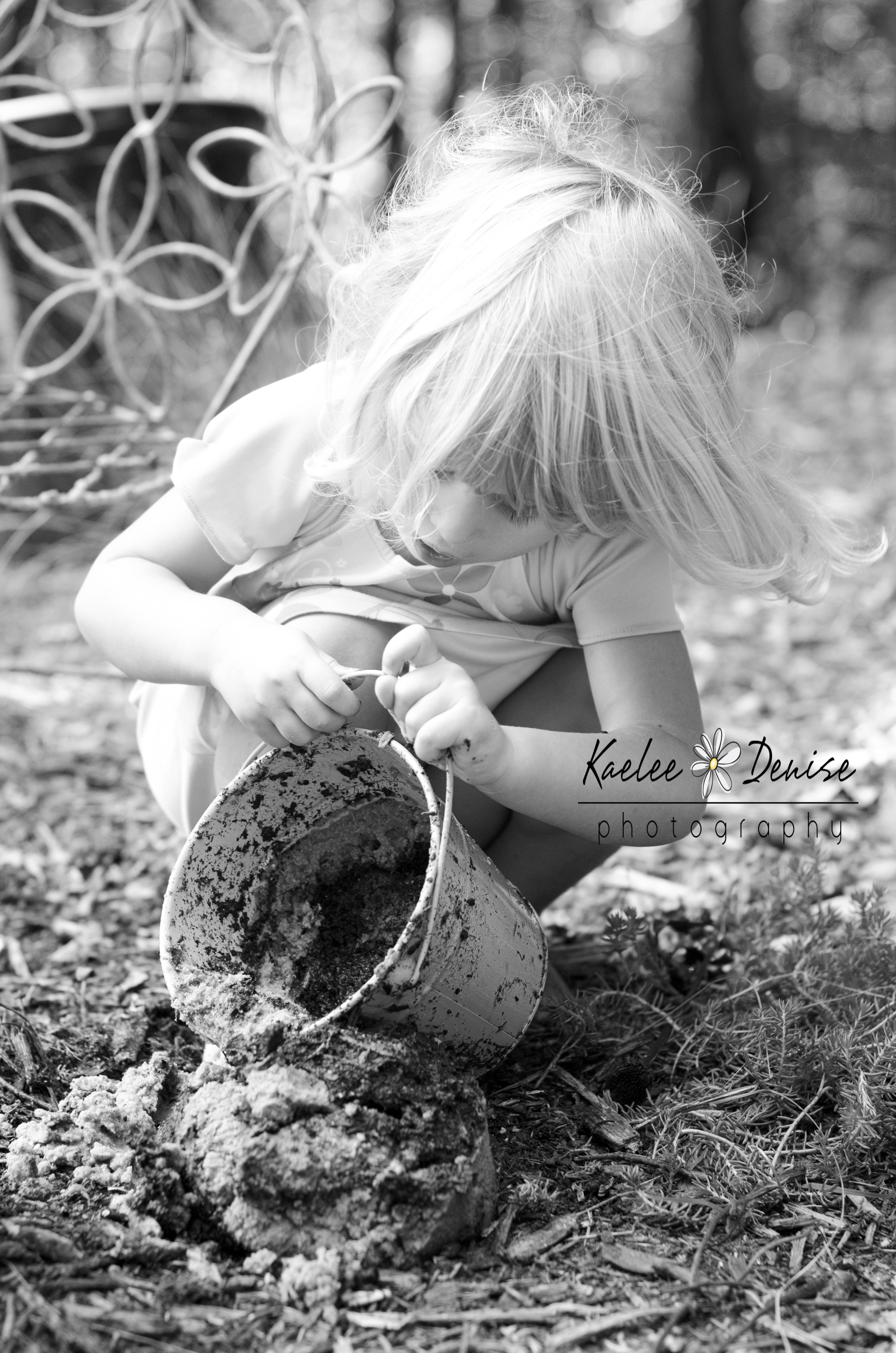 Kaelee Denise Photography