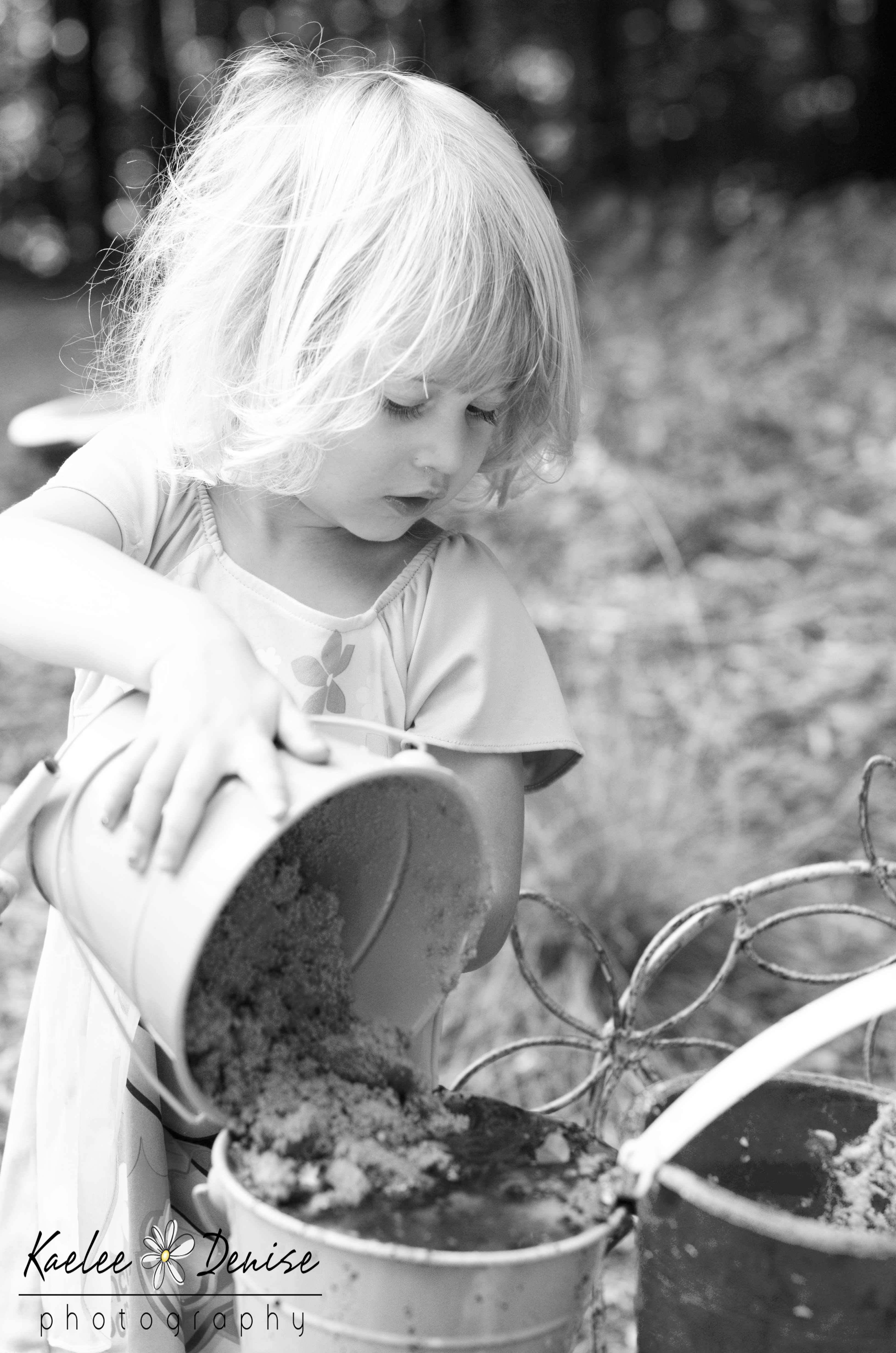 Kaelee Denise Photography