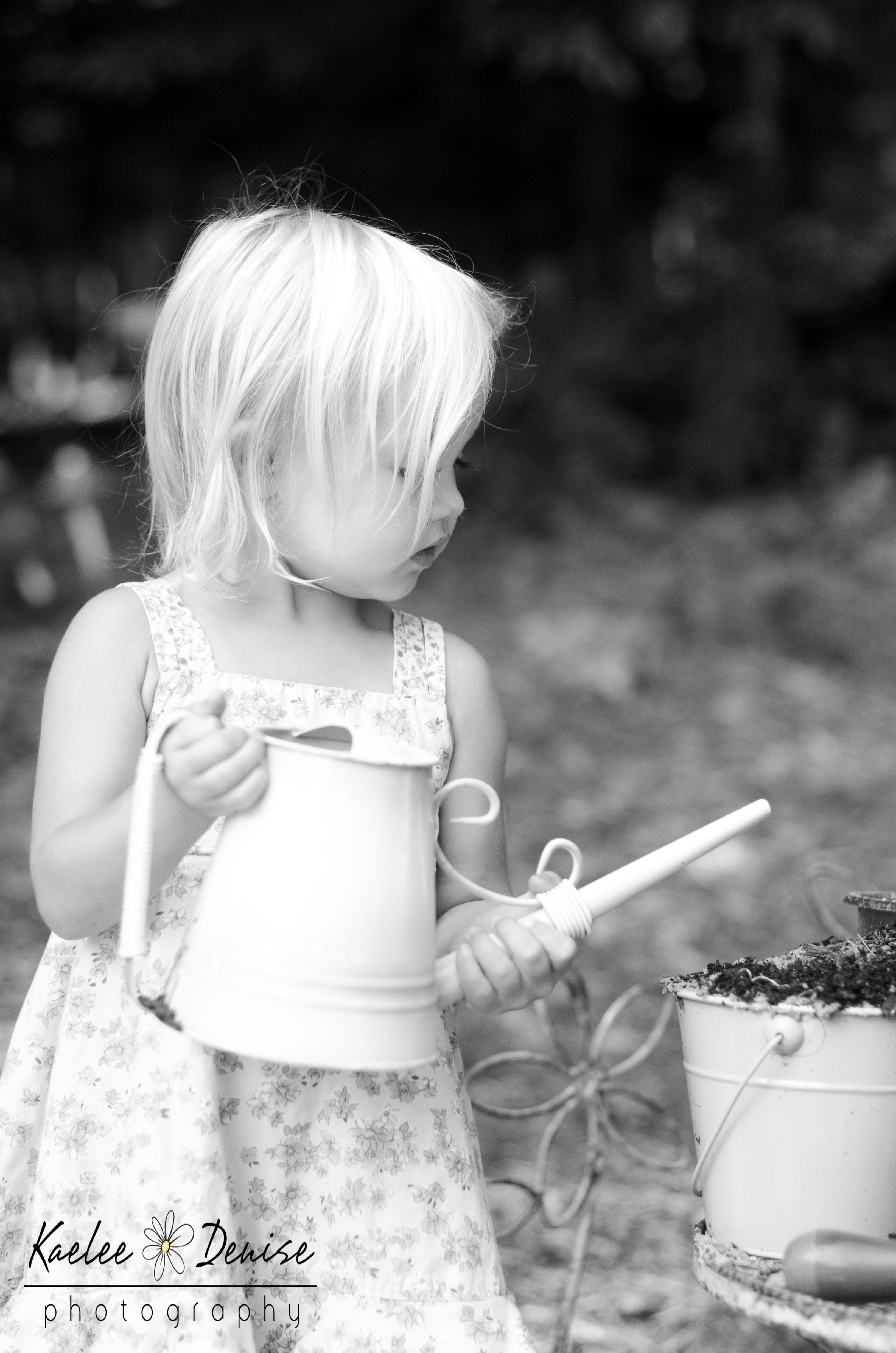 Kaelee Denise Photography