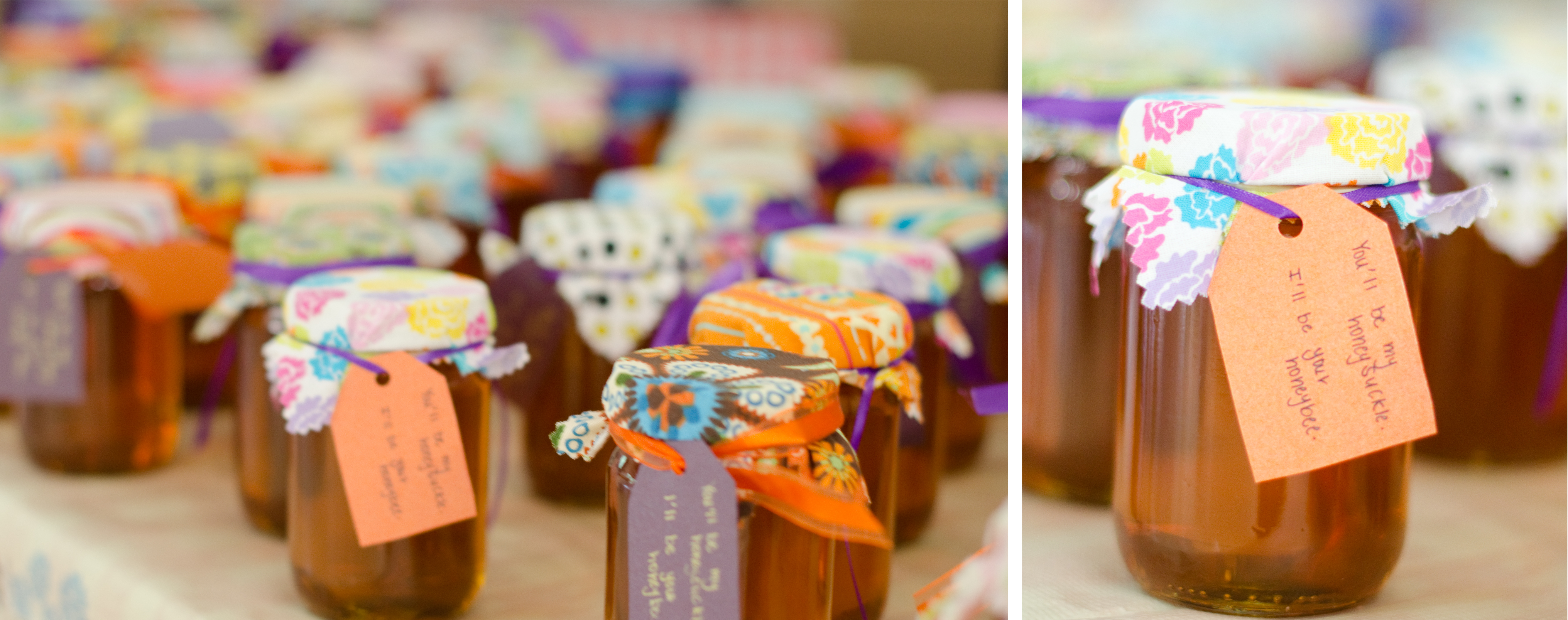 Kaelee Denise Photography