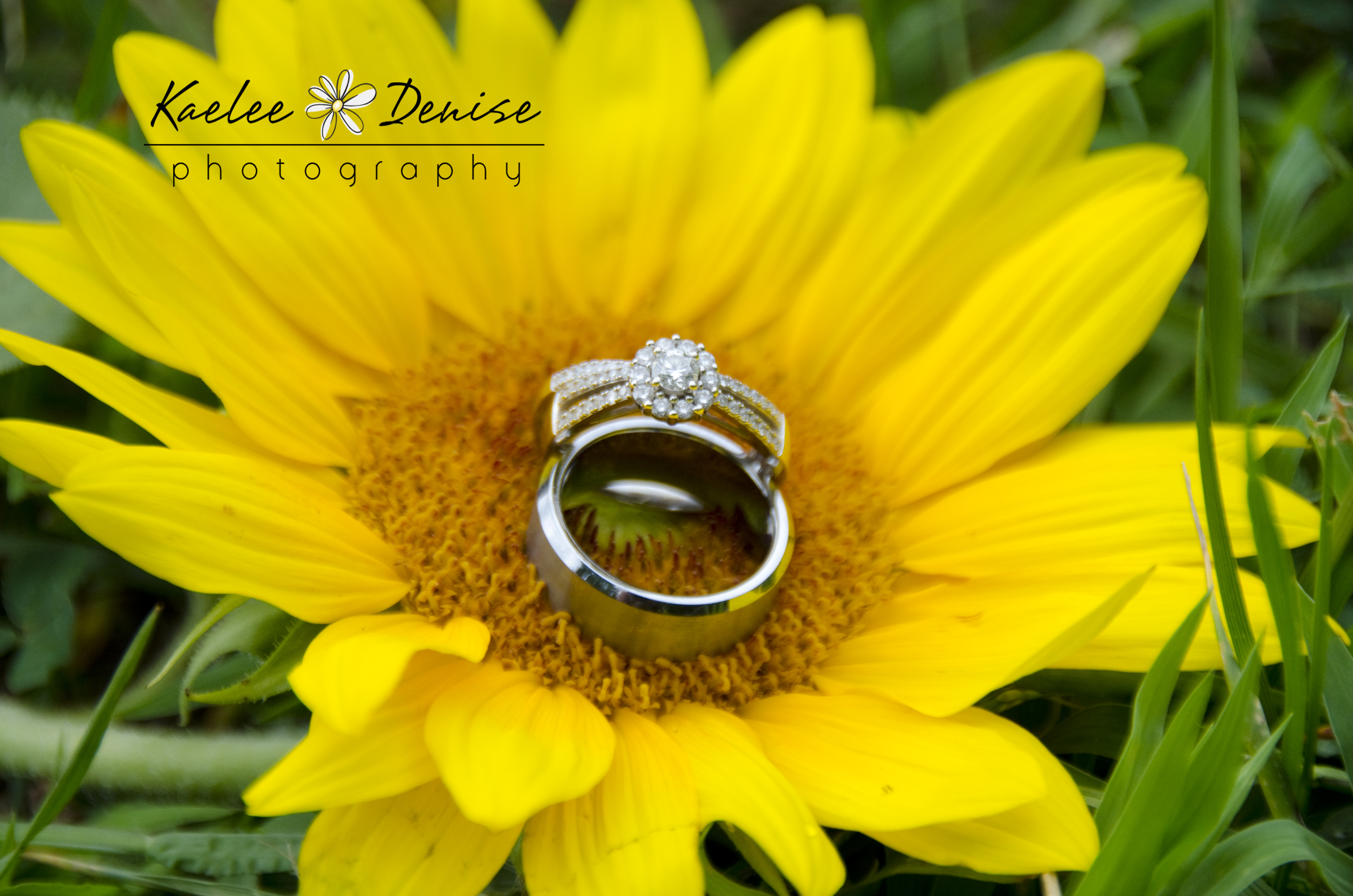 Kaelee Denise Photography