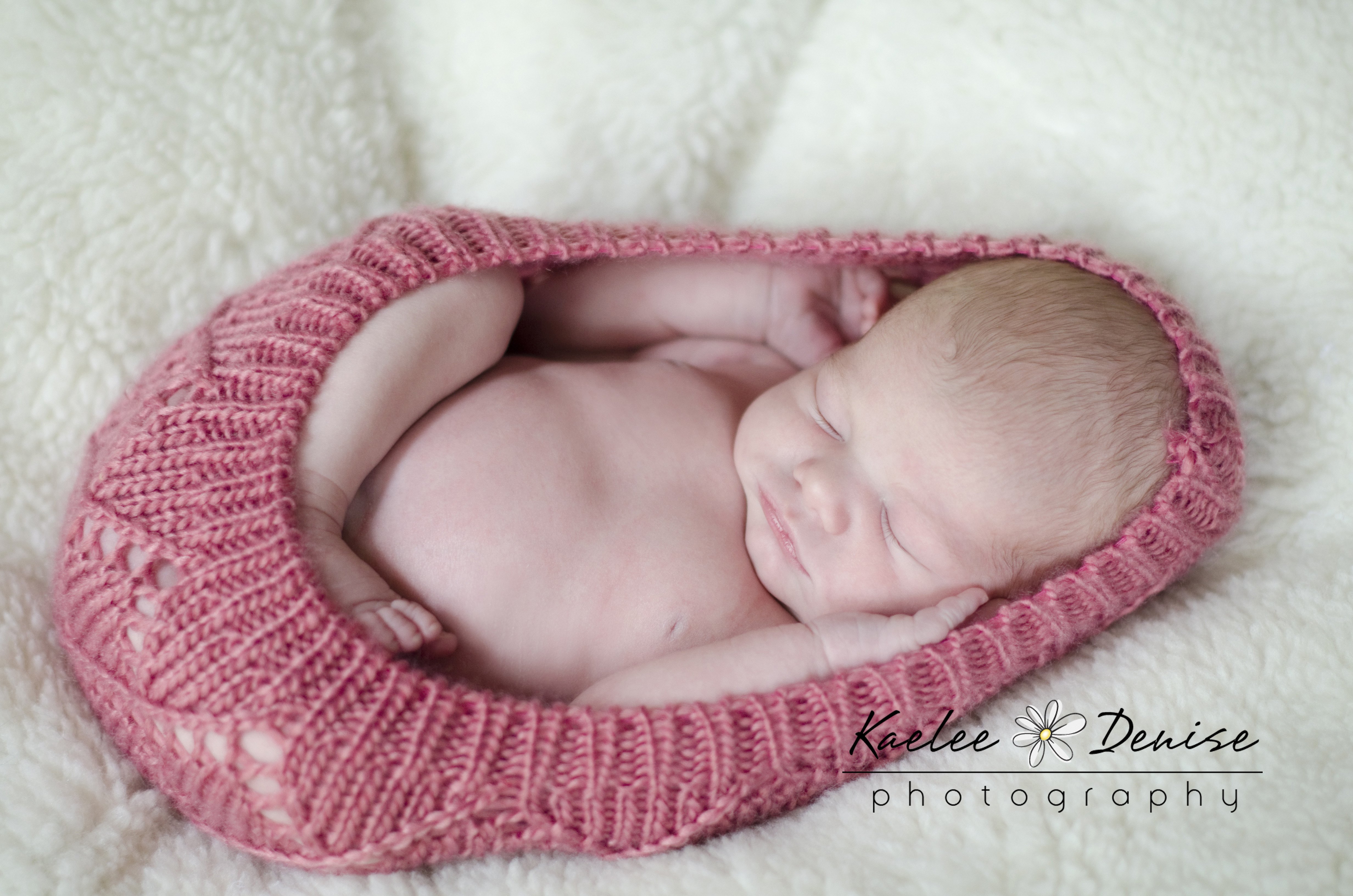 Kaelee Denise Photography