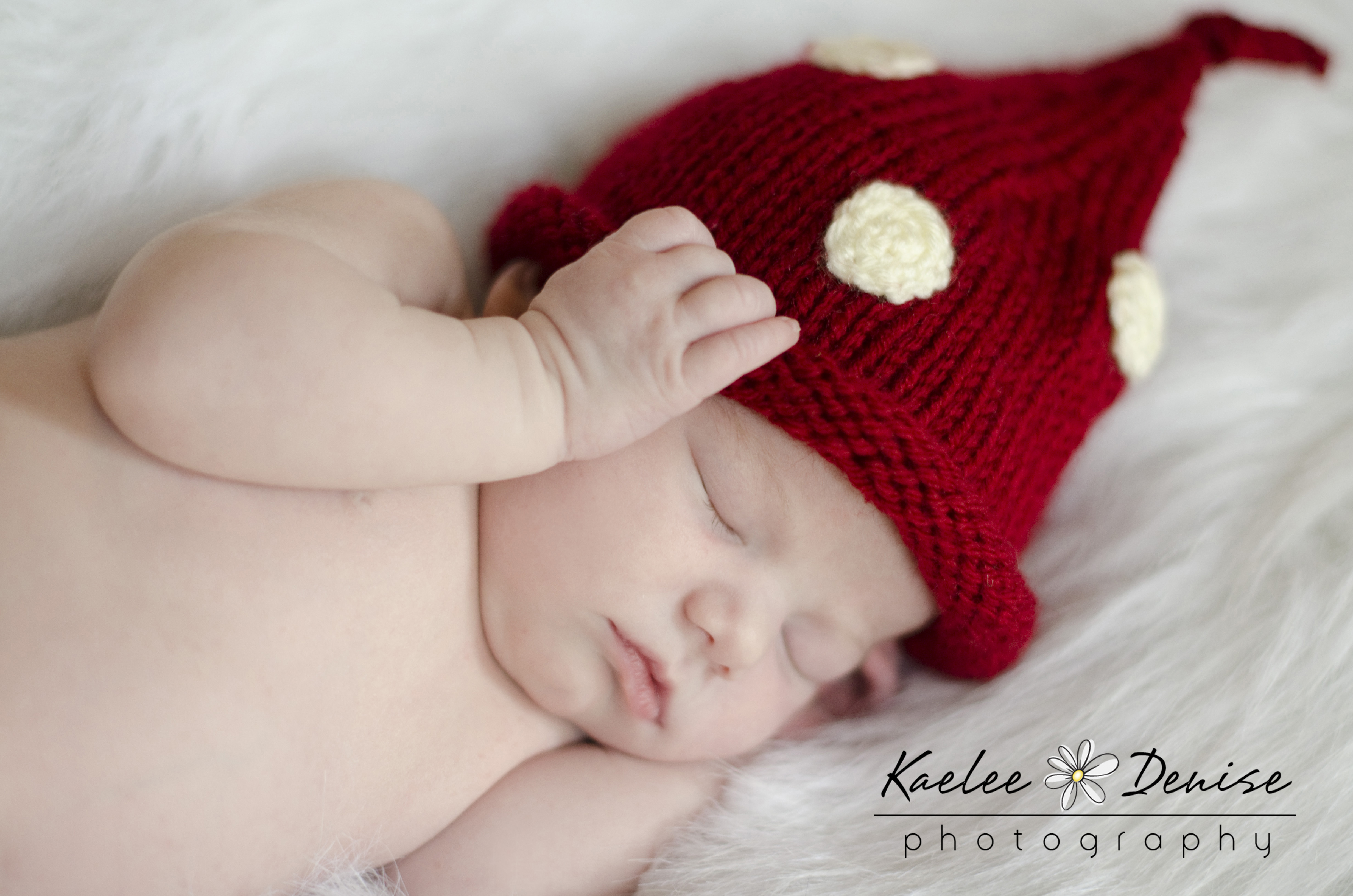 Kaelee Denise Photography