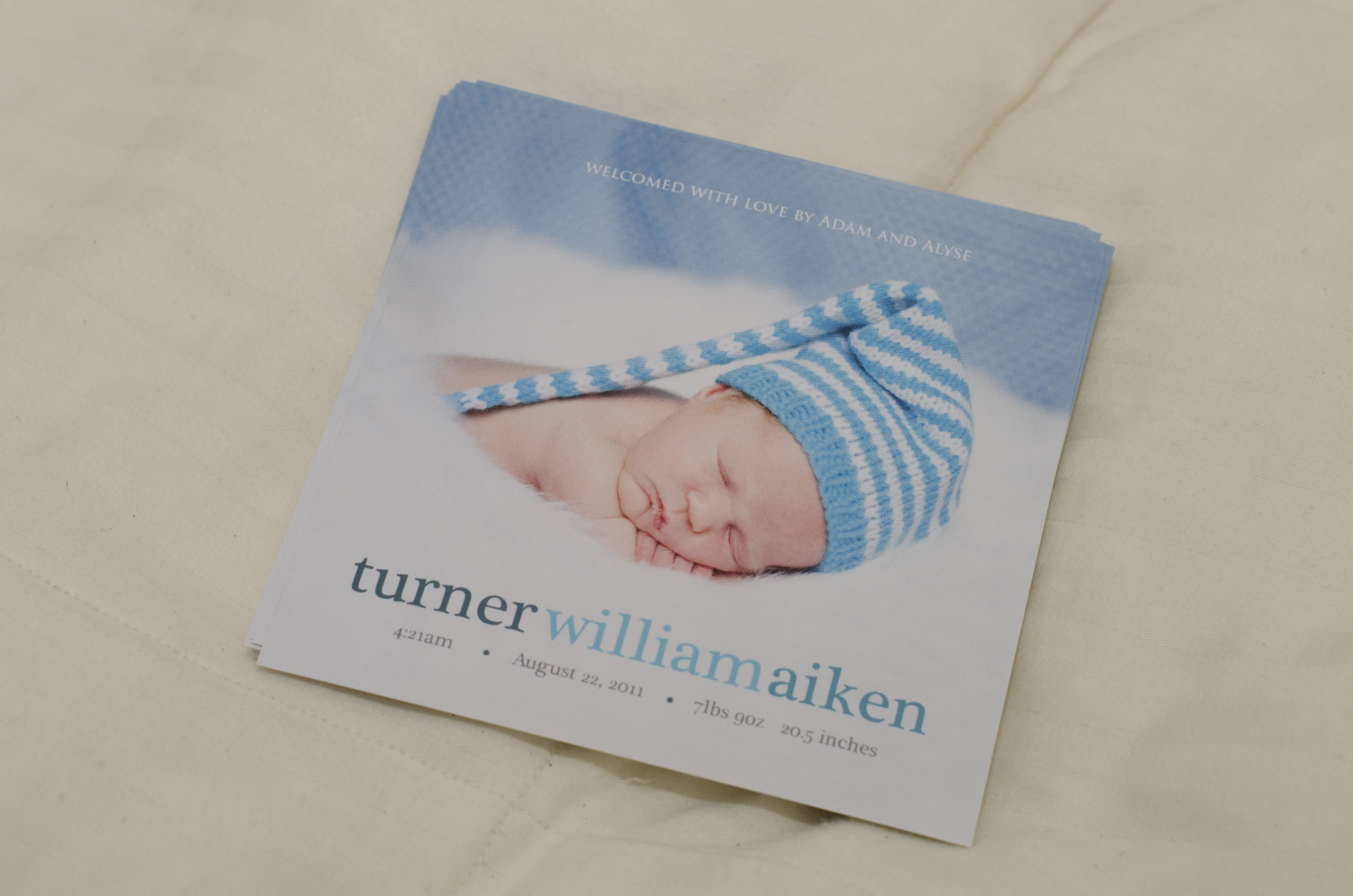 Kaelee Denise Photography