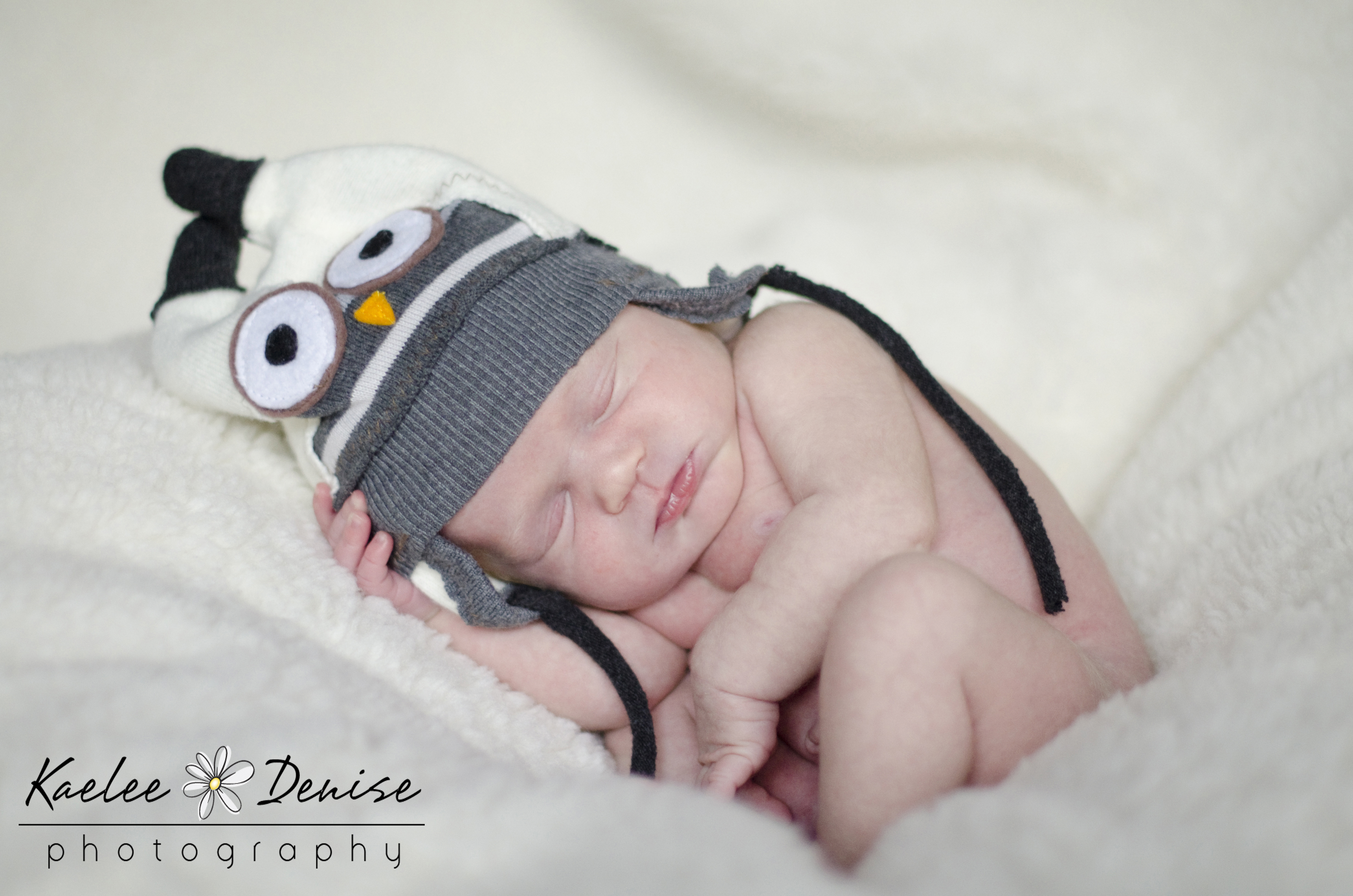 Kaelee Denise Photography