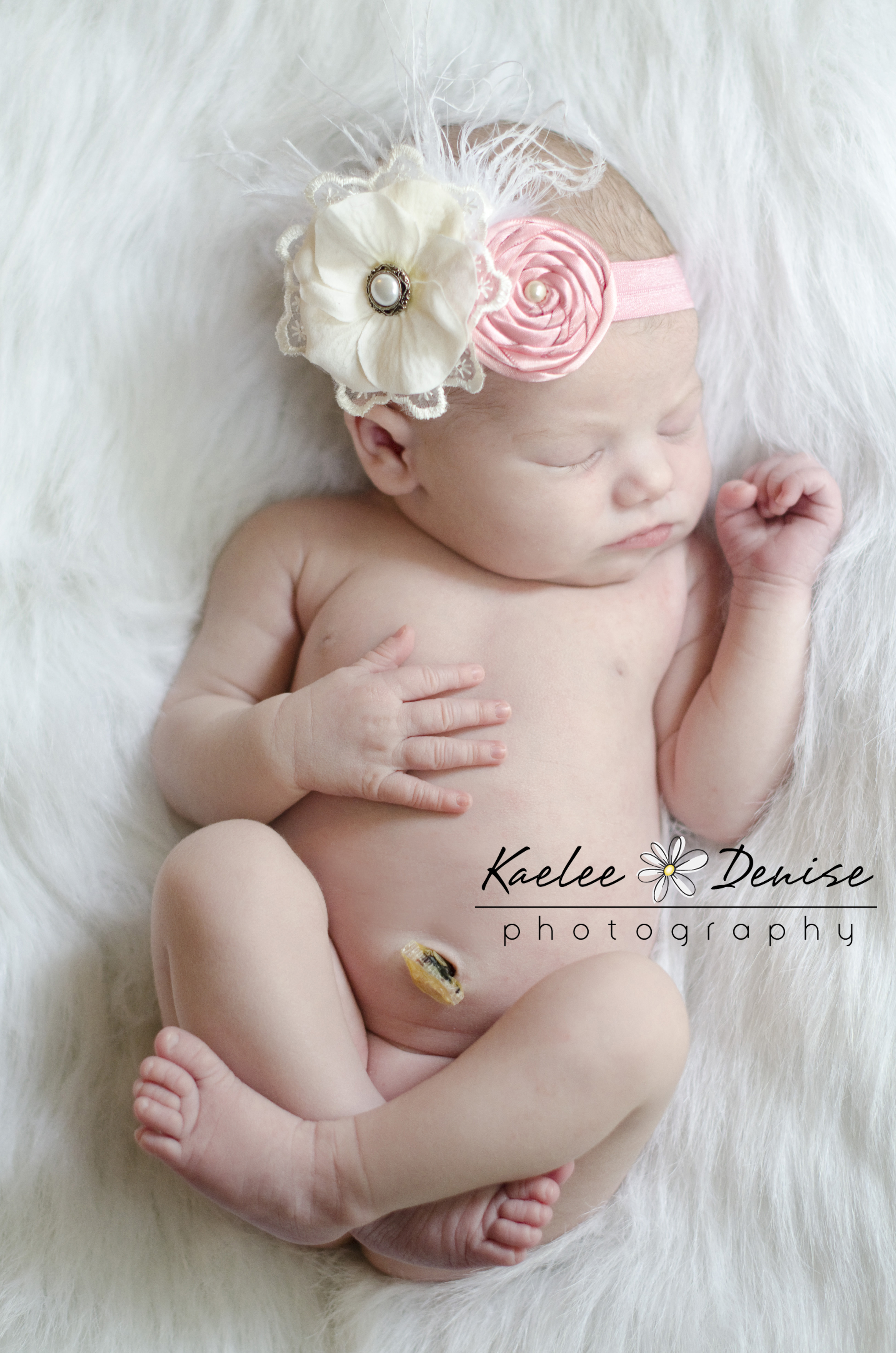 Kaelee Denise Photography