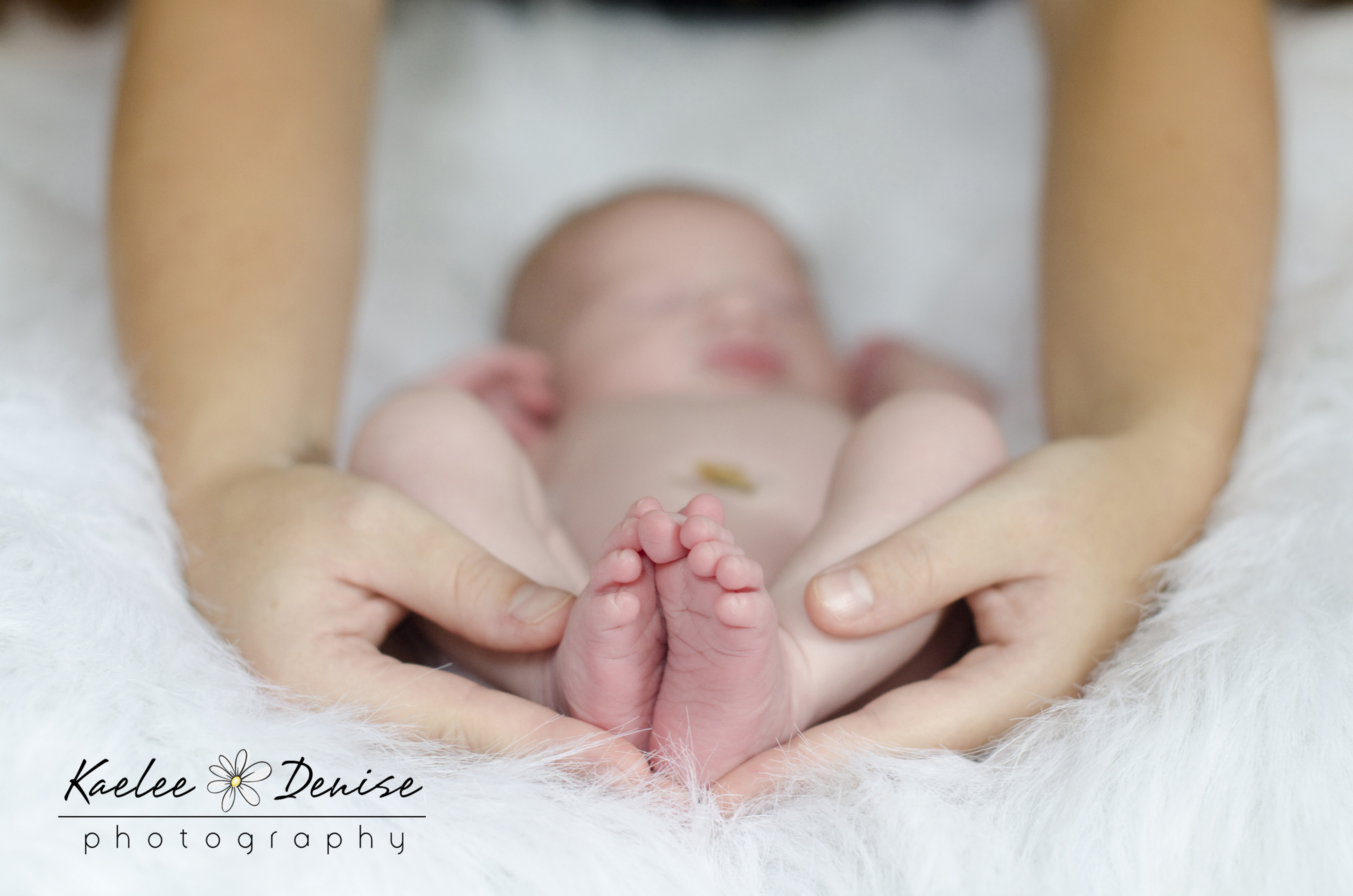 Kaelee Denise Photography