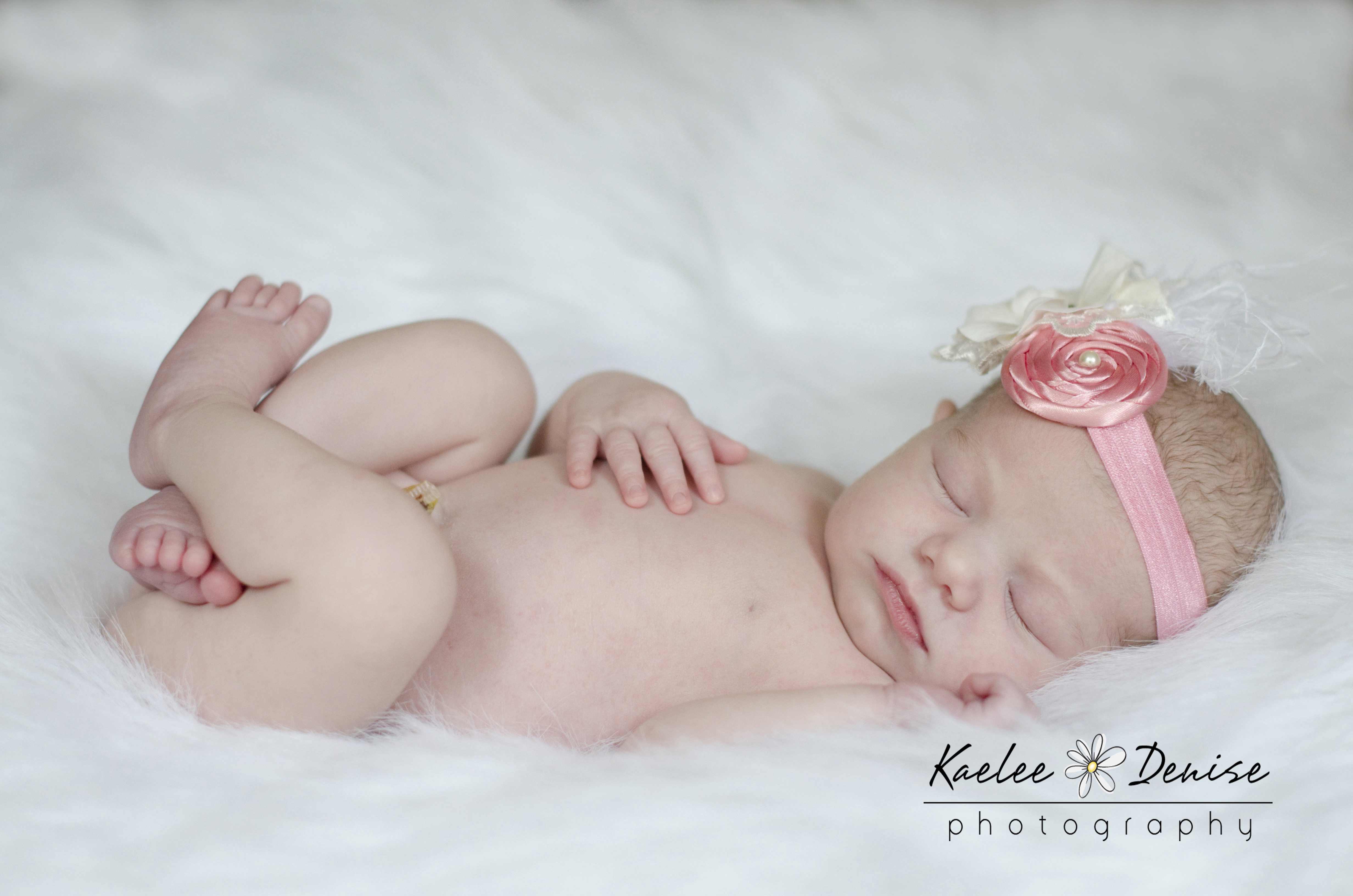 Kaelee Denise Photography