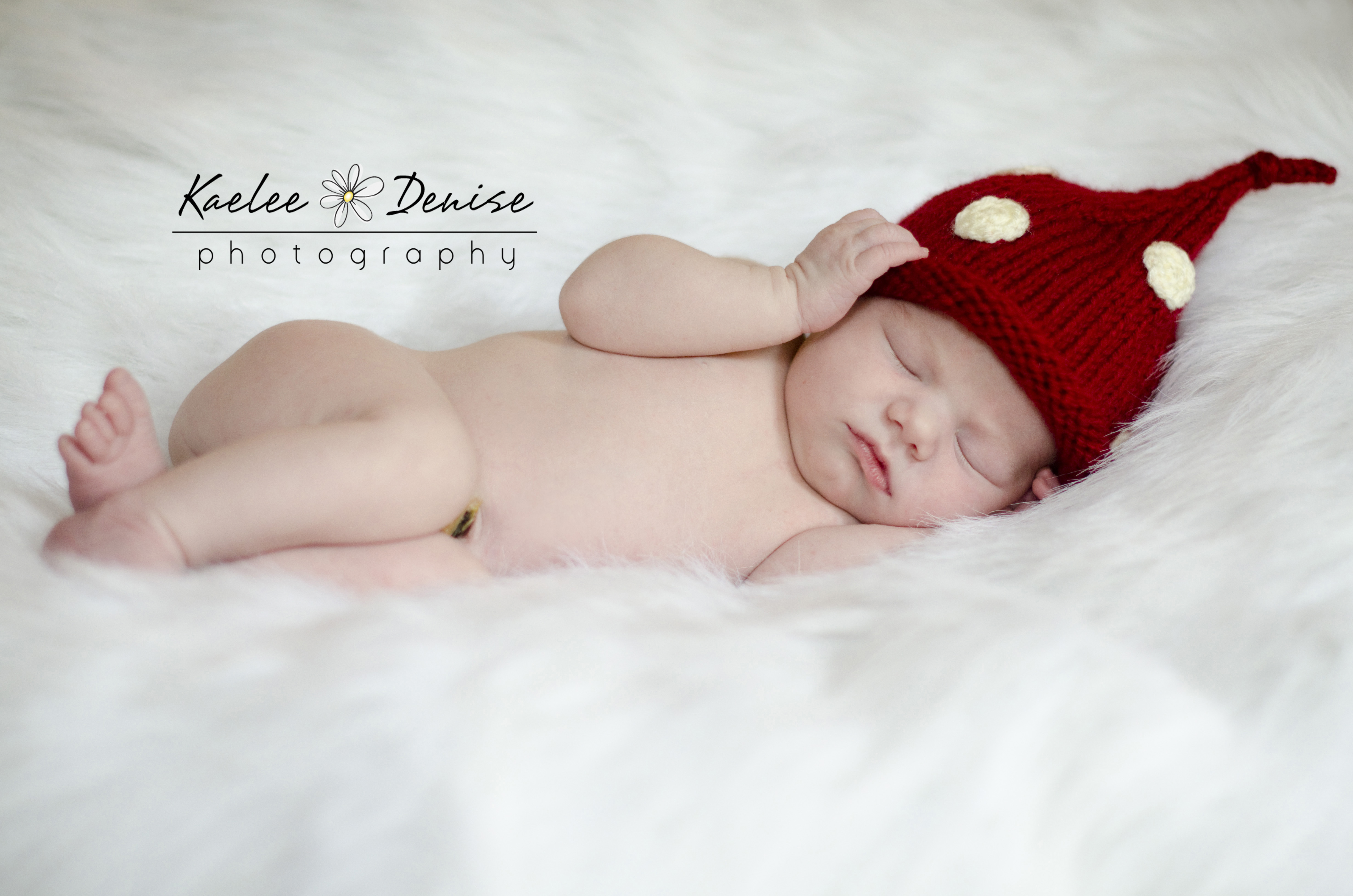 Kaelee Denise Photography