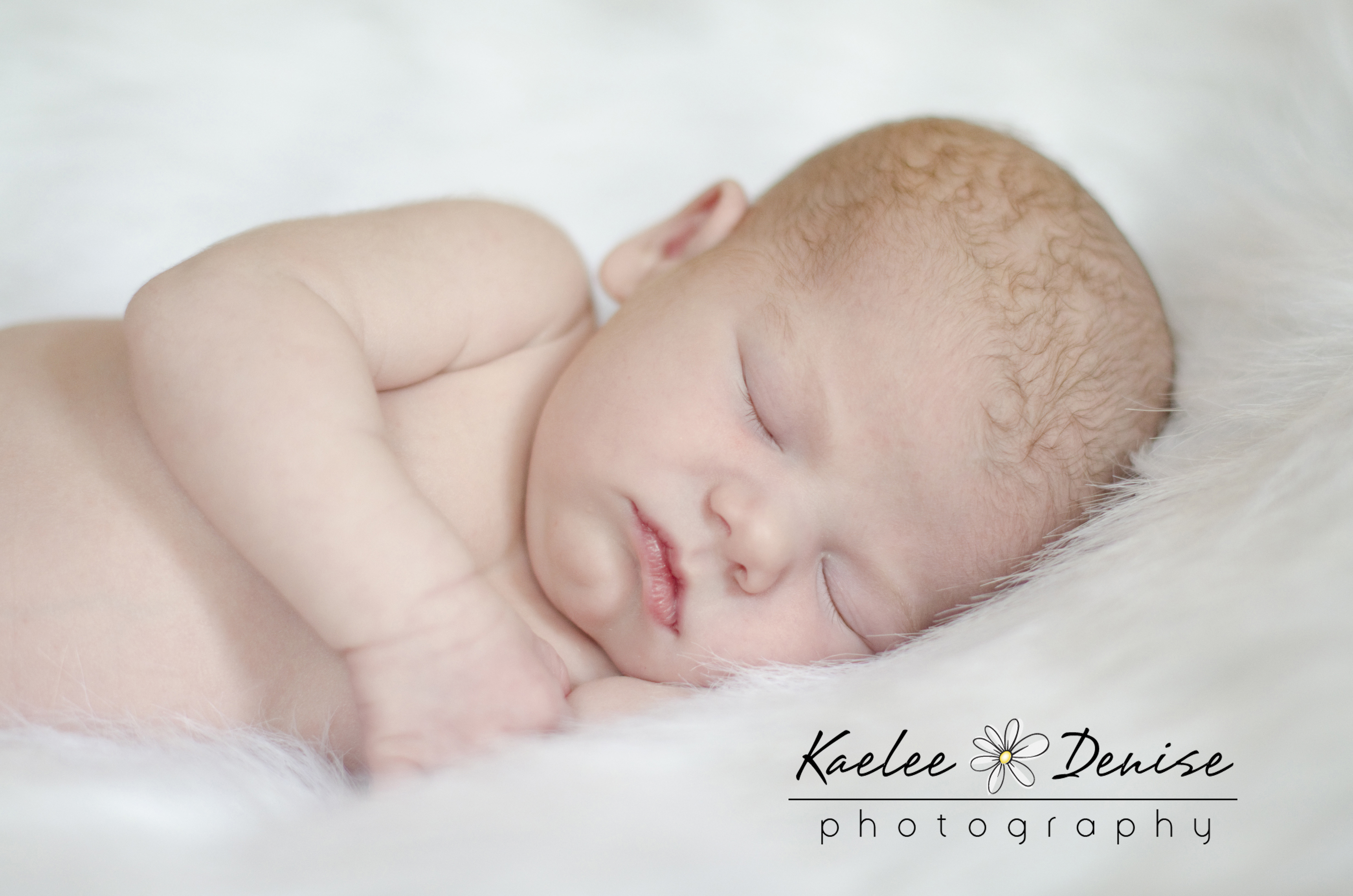 Kaelee Denise Photography