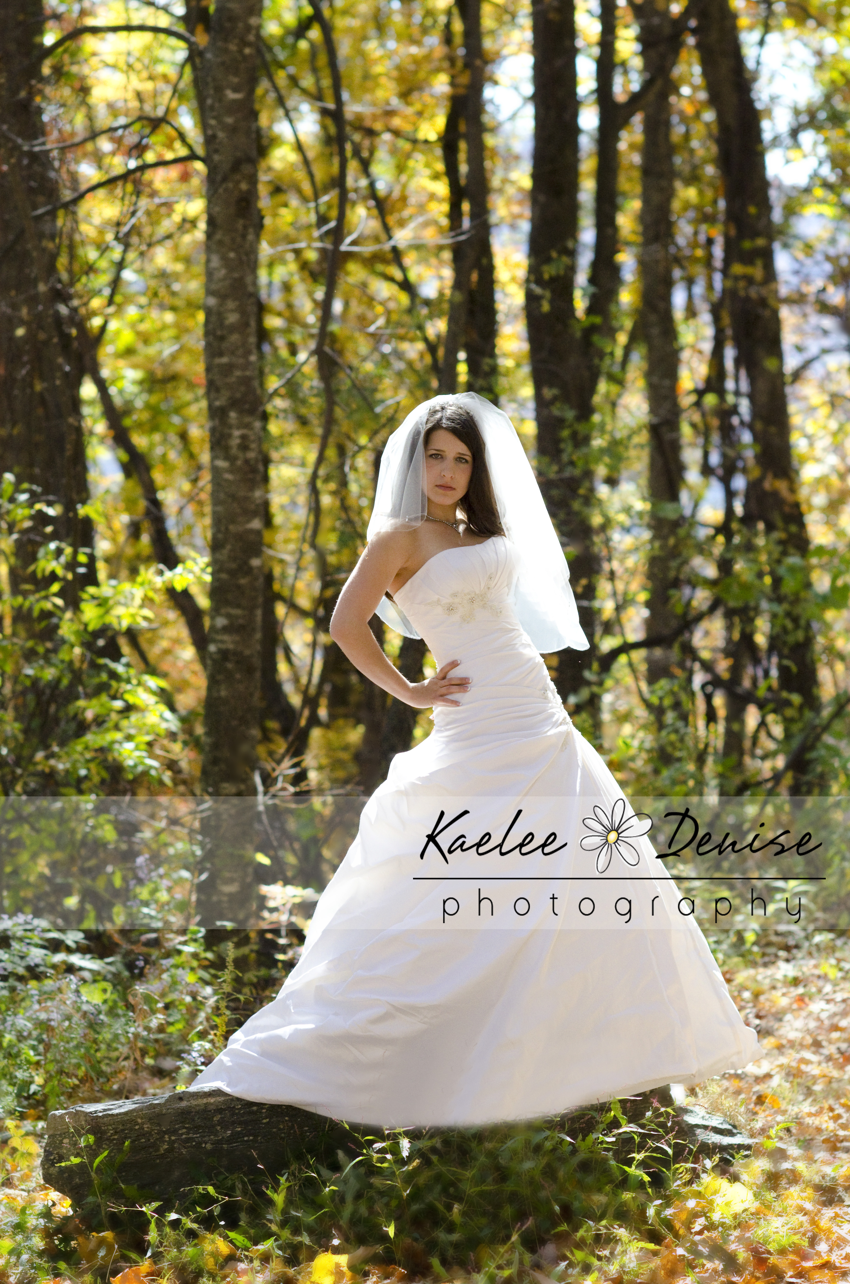 Kaelee Denise Photography