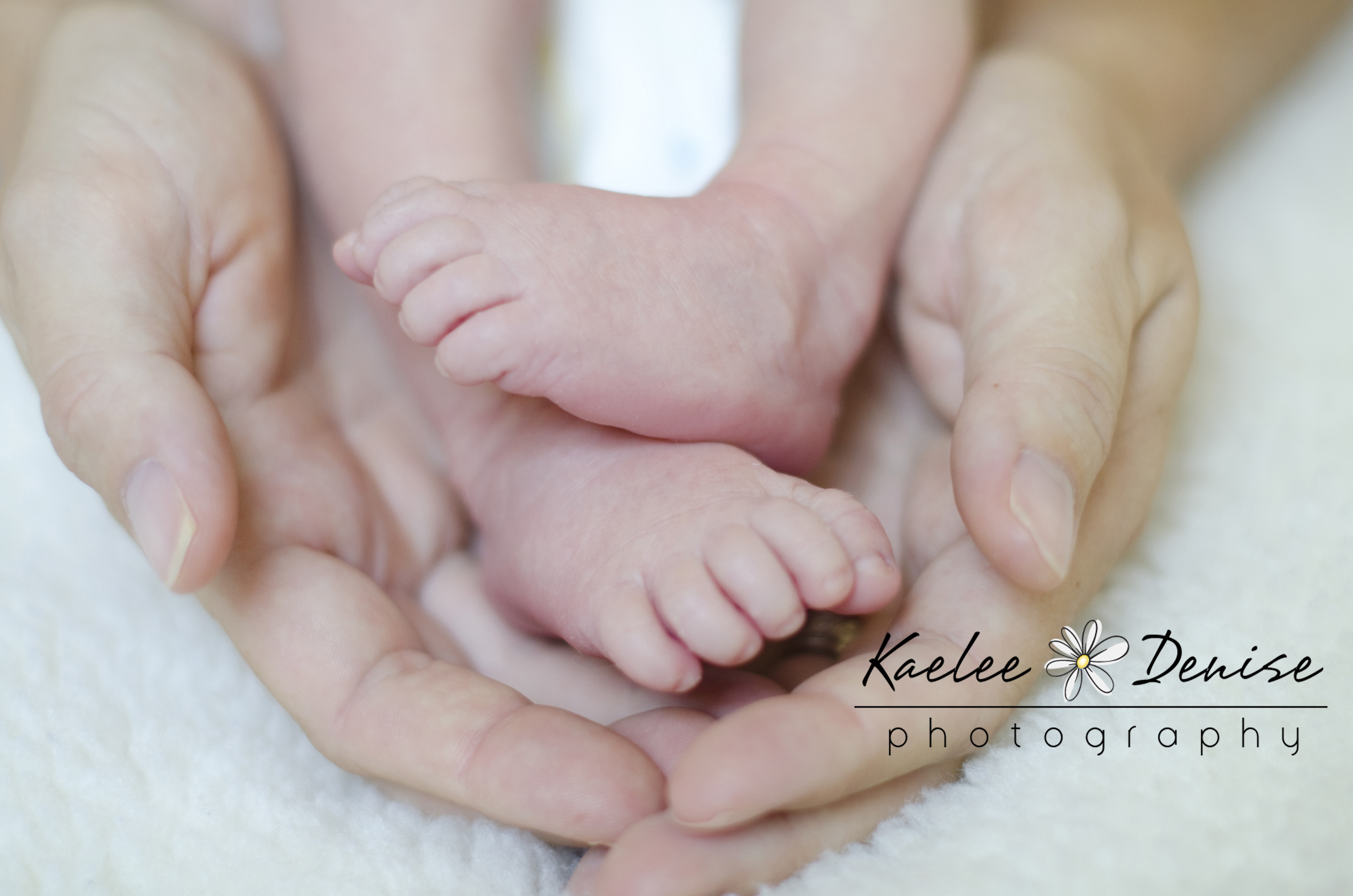 Kaelee Denise Photography