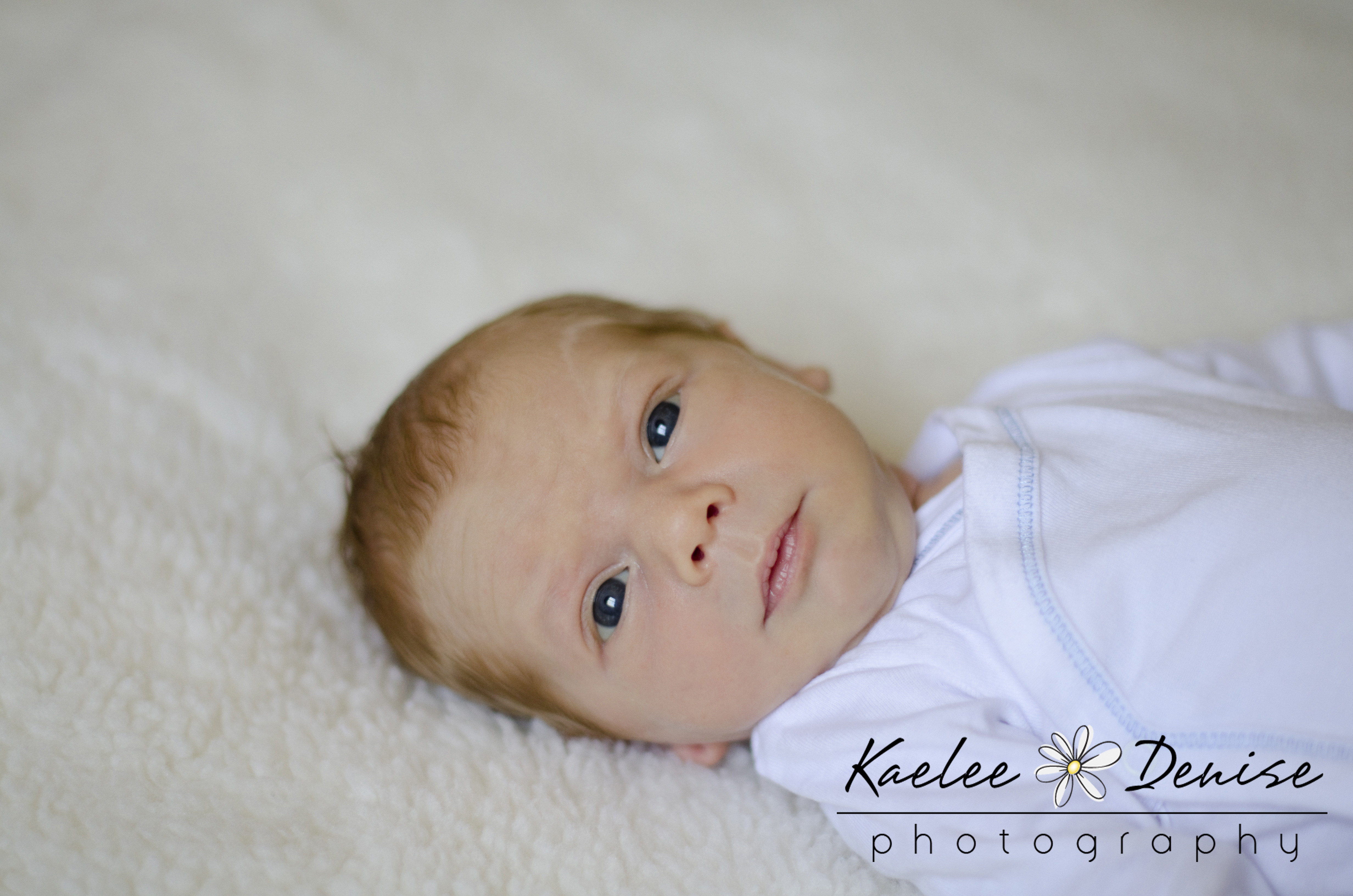 Kaelee Denise Photography