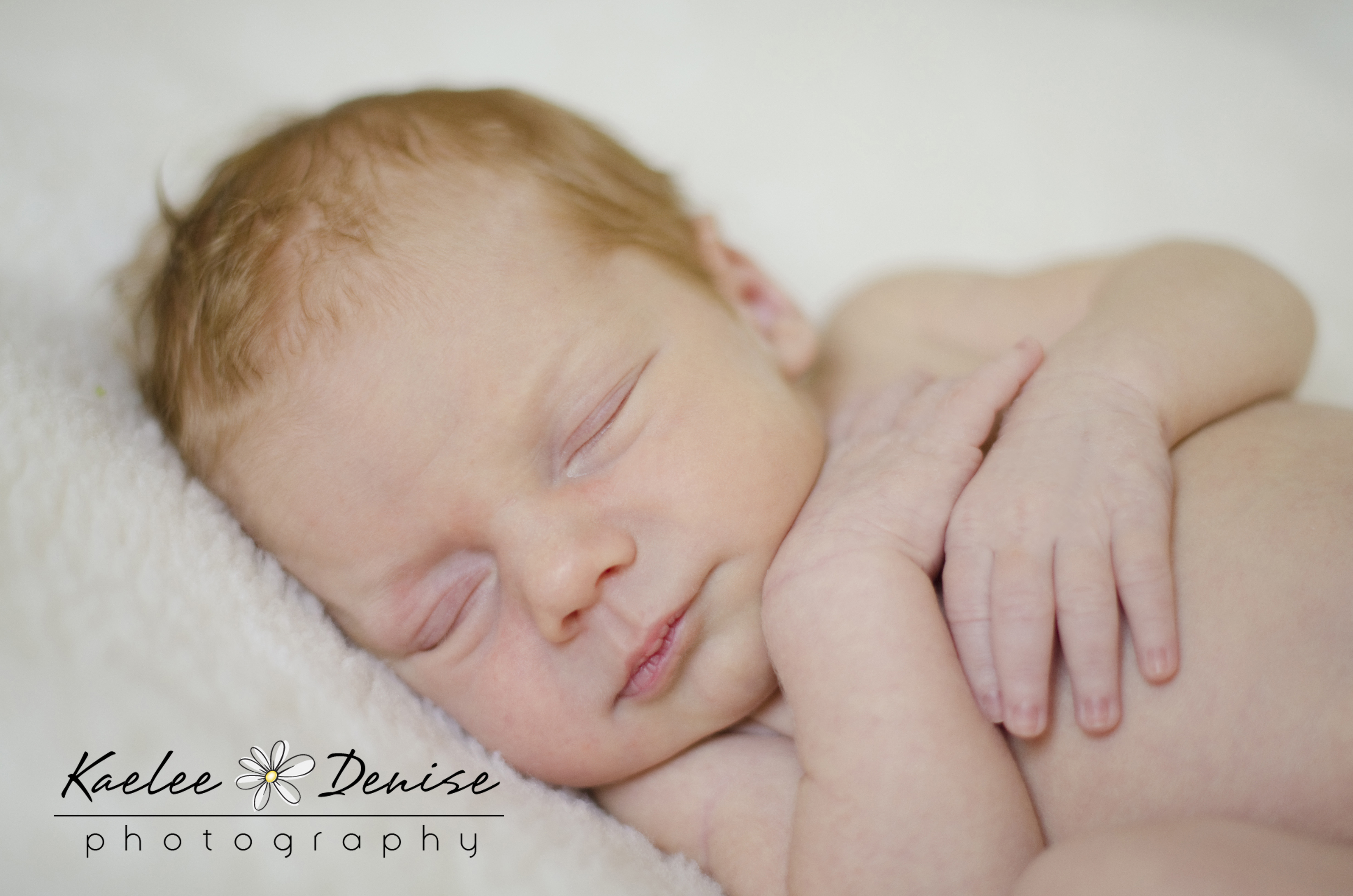 Kaelee Denise Photography