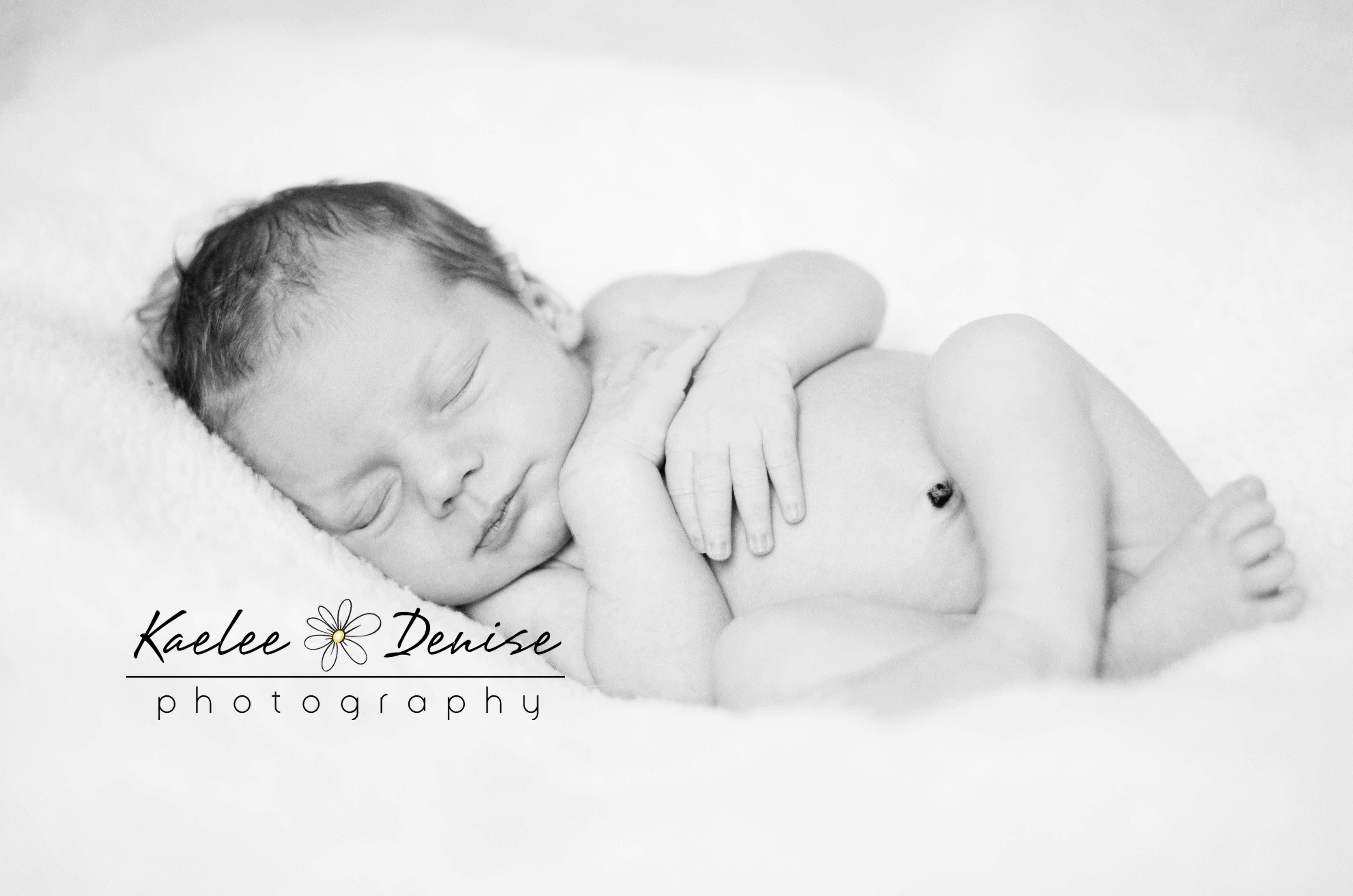 Kaelee Denise Photography