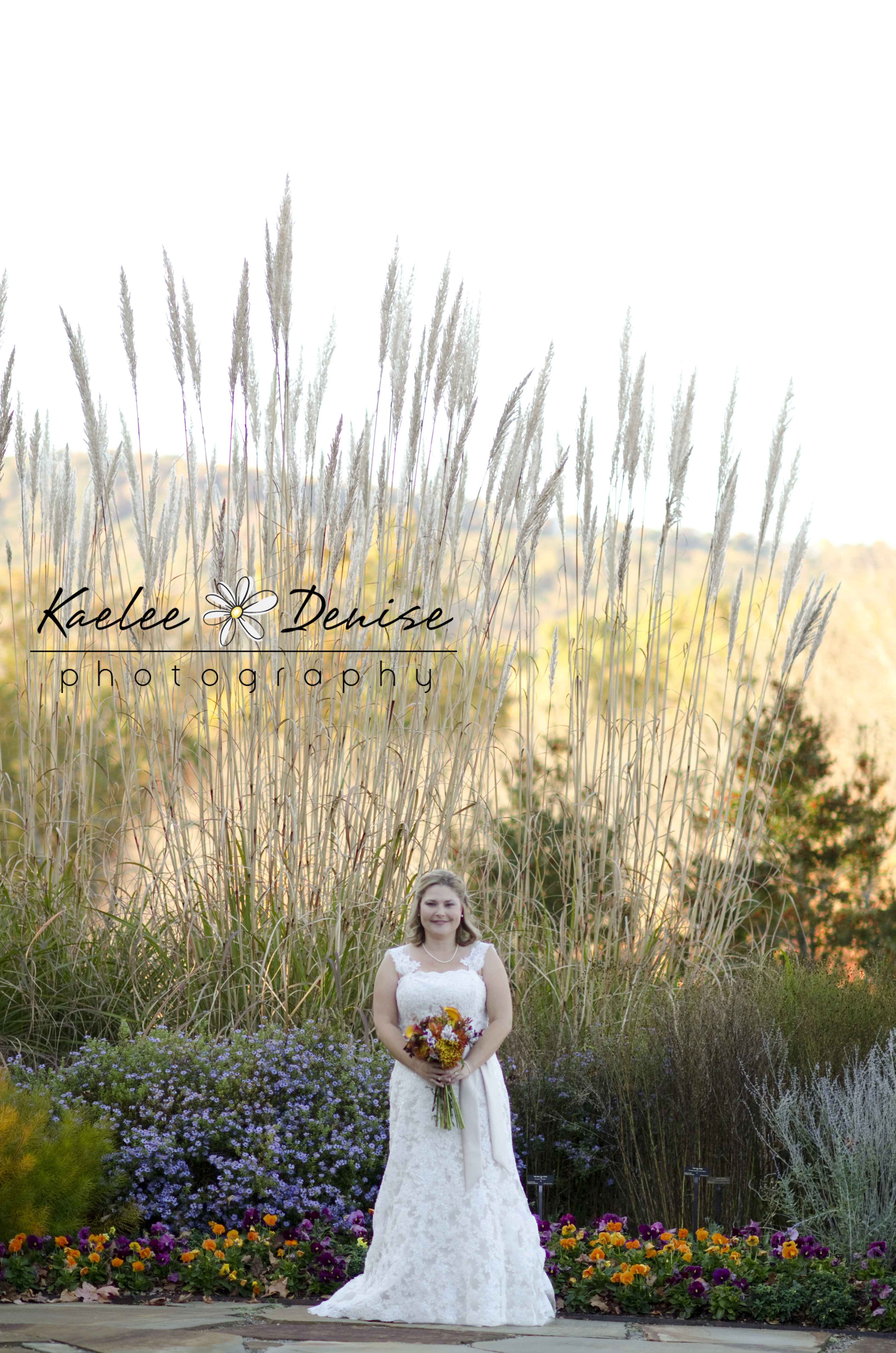 Kaelee Denise Photography