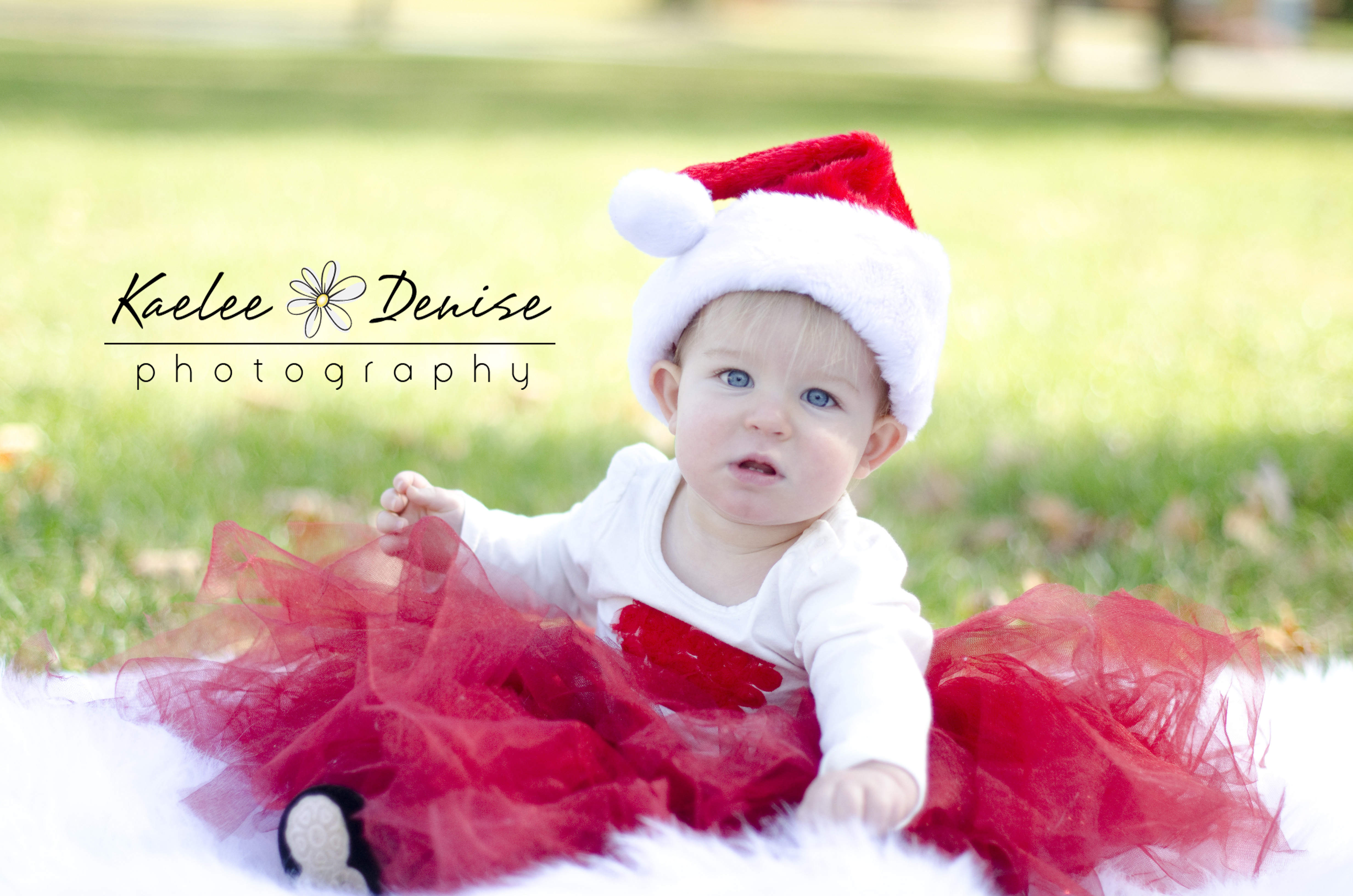 Kaelee Denise Photography