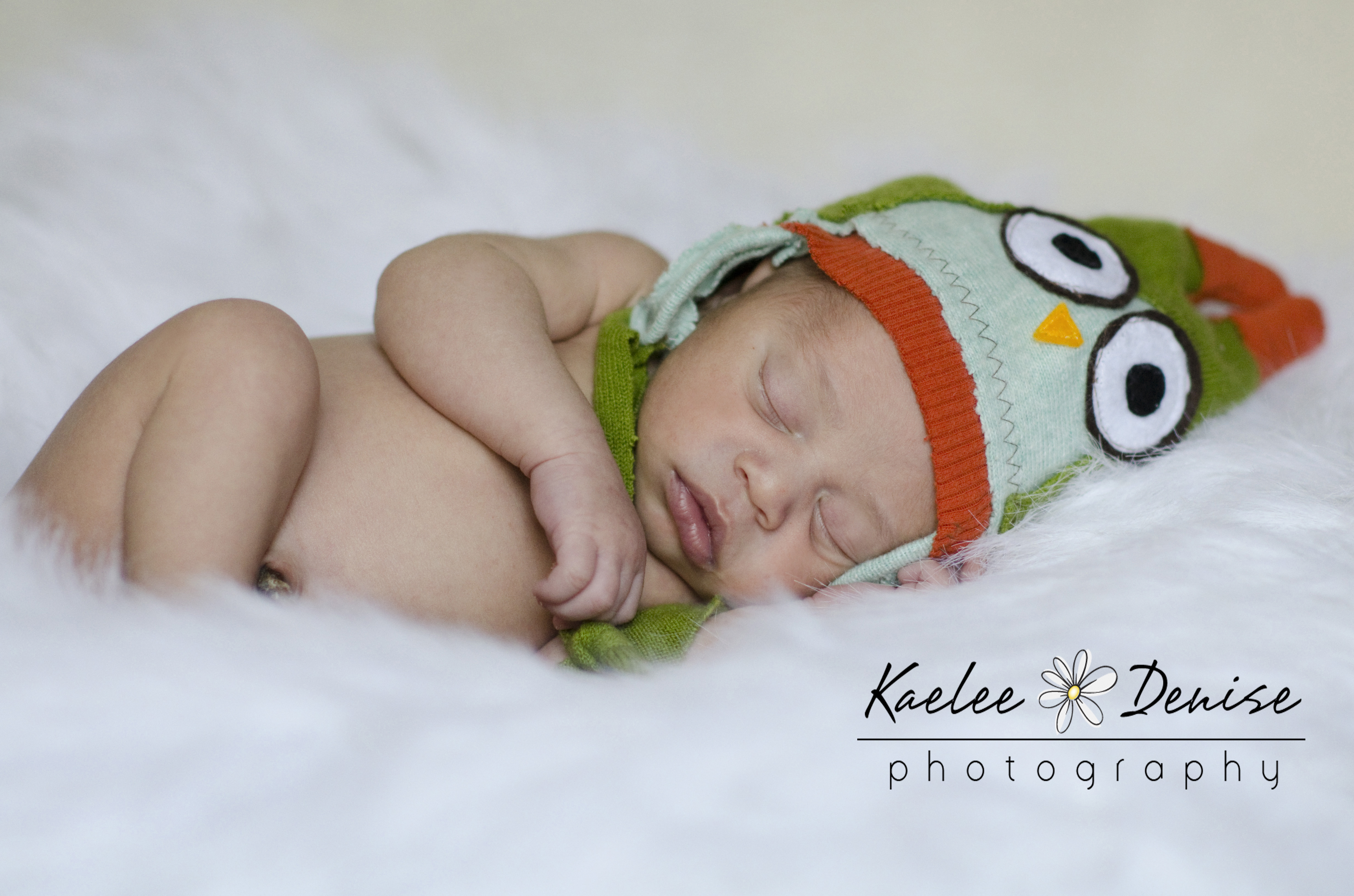 Kaelee Denise Photography