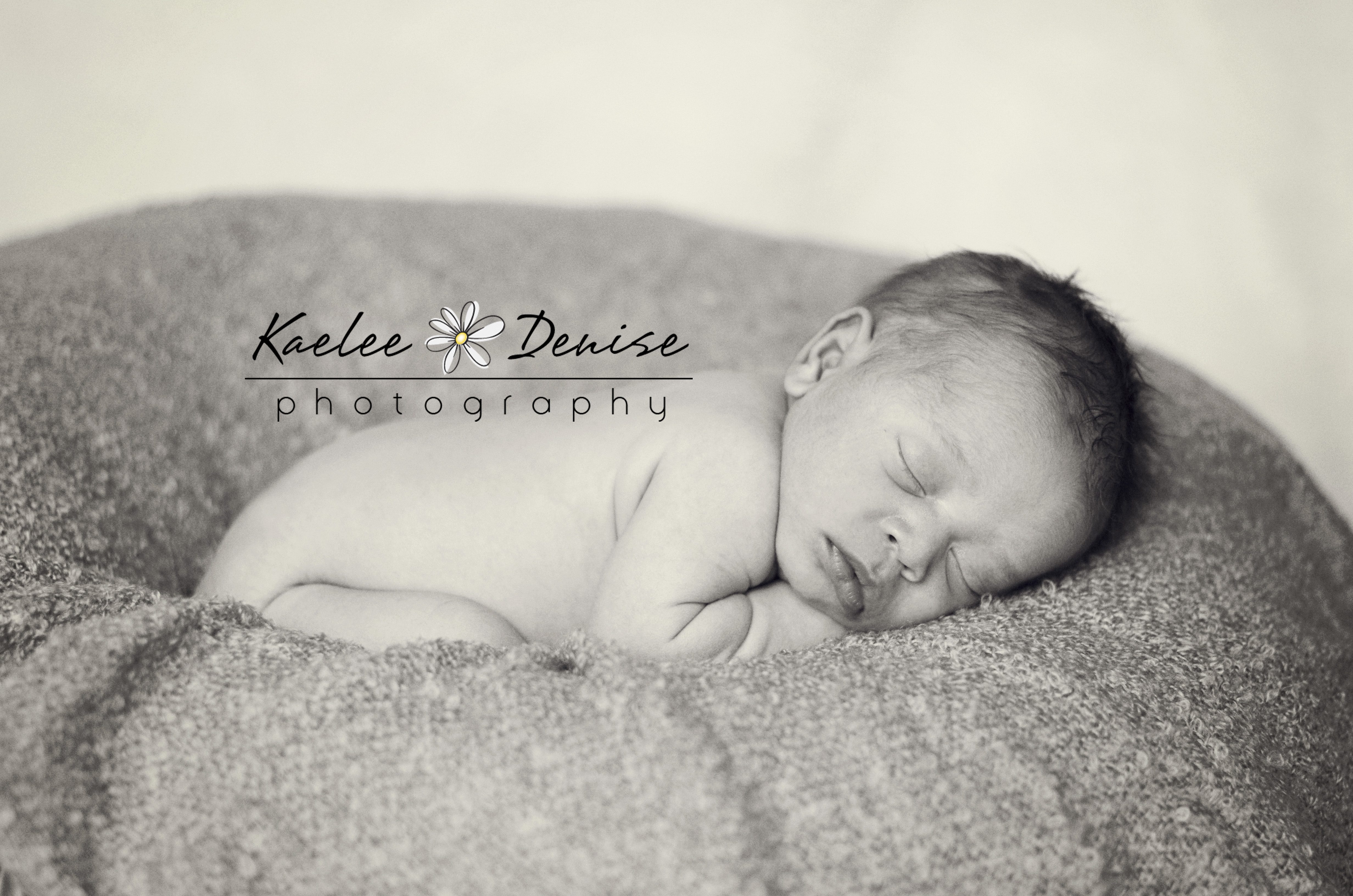 Kaelee Denise Photography