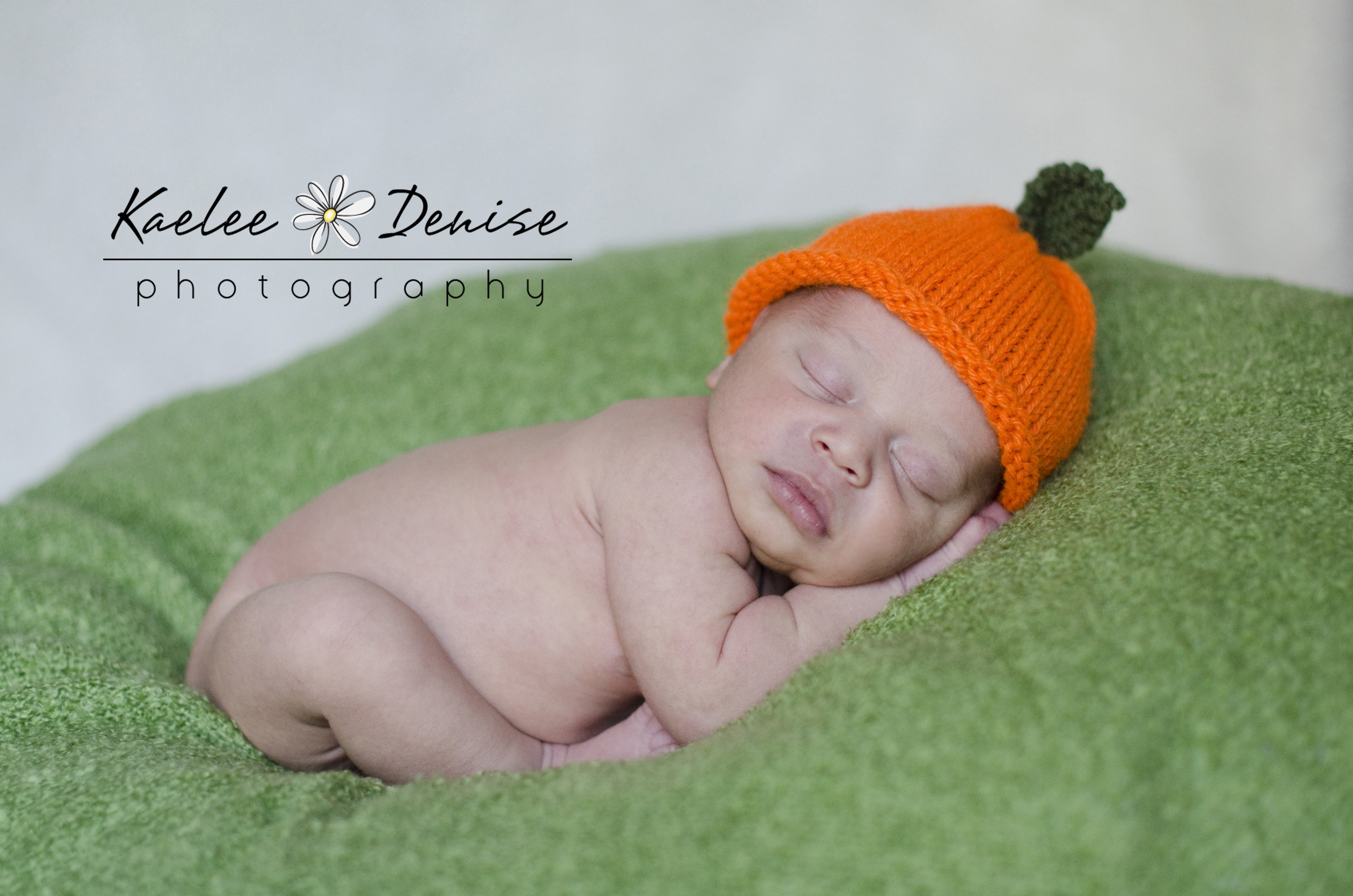 Kaelee Denise Photography