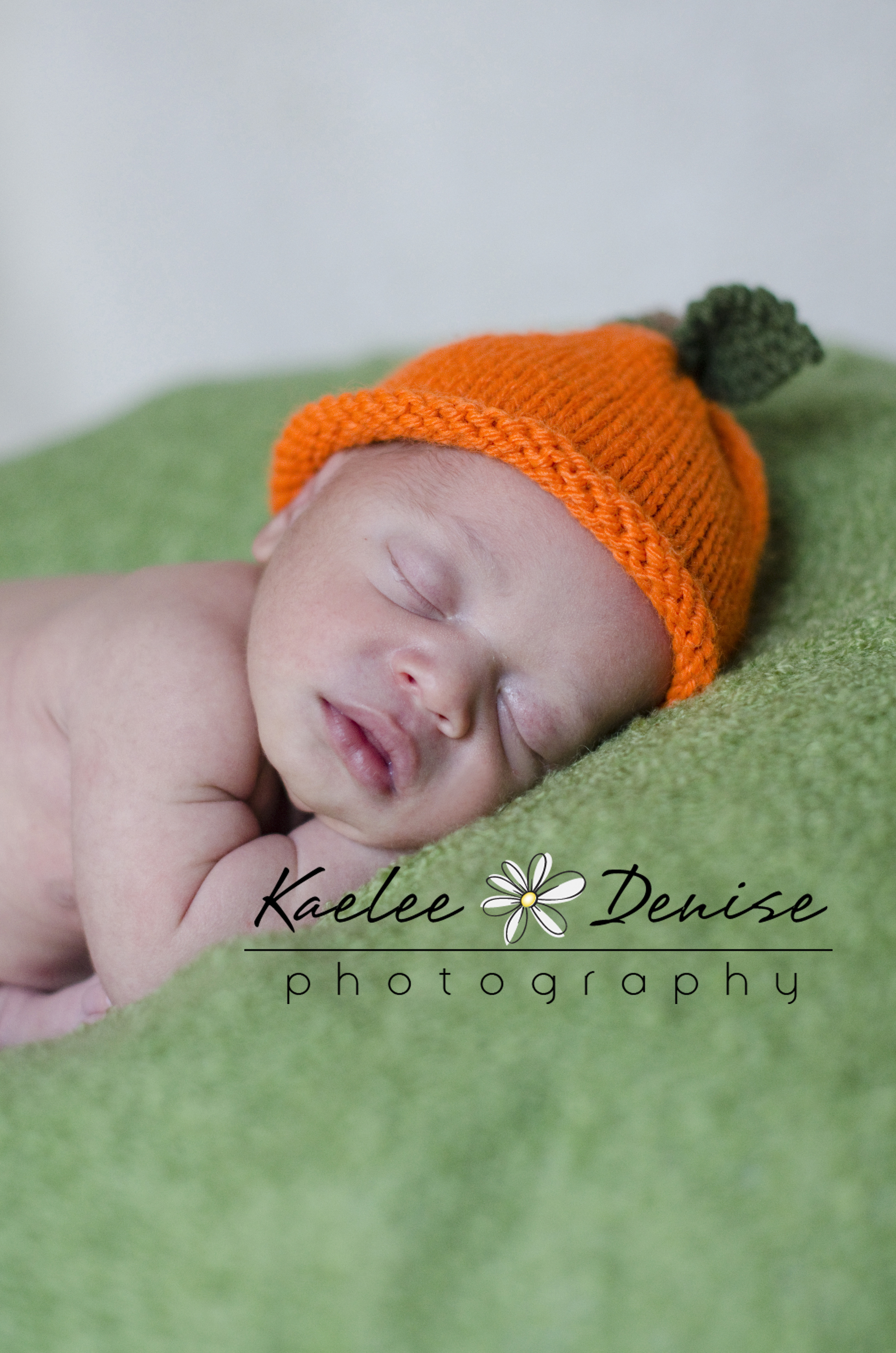Kaelee Denise Photography