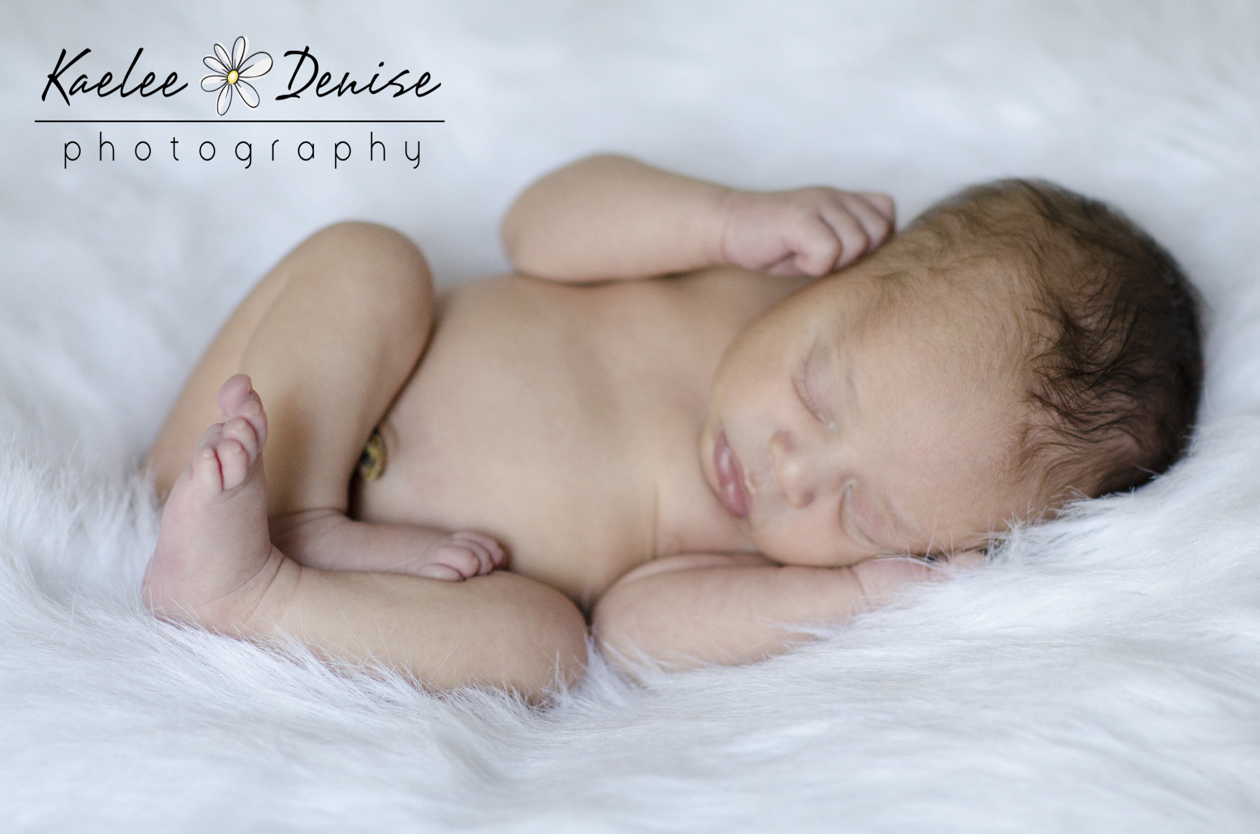 Kaelee Denise Photography