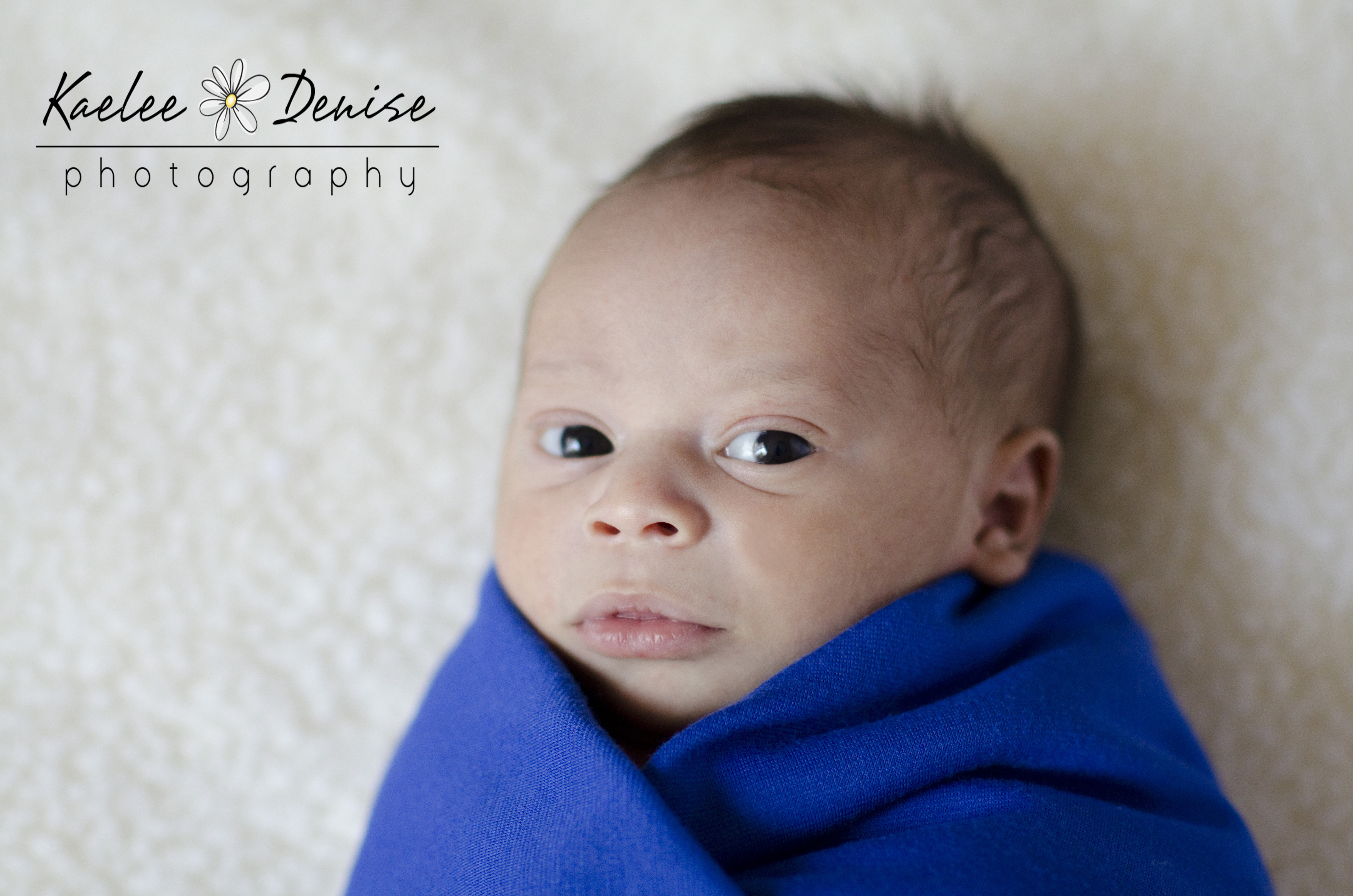 Kaelee Denise Photography