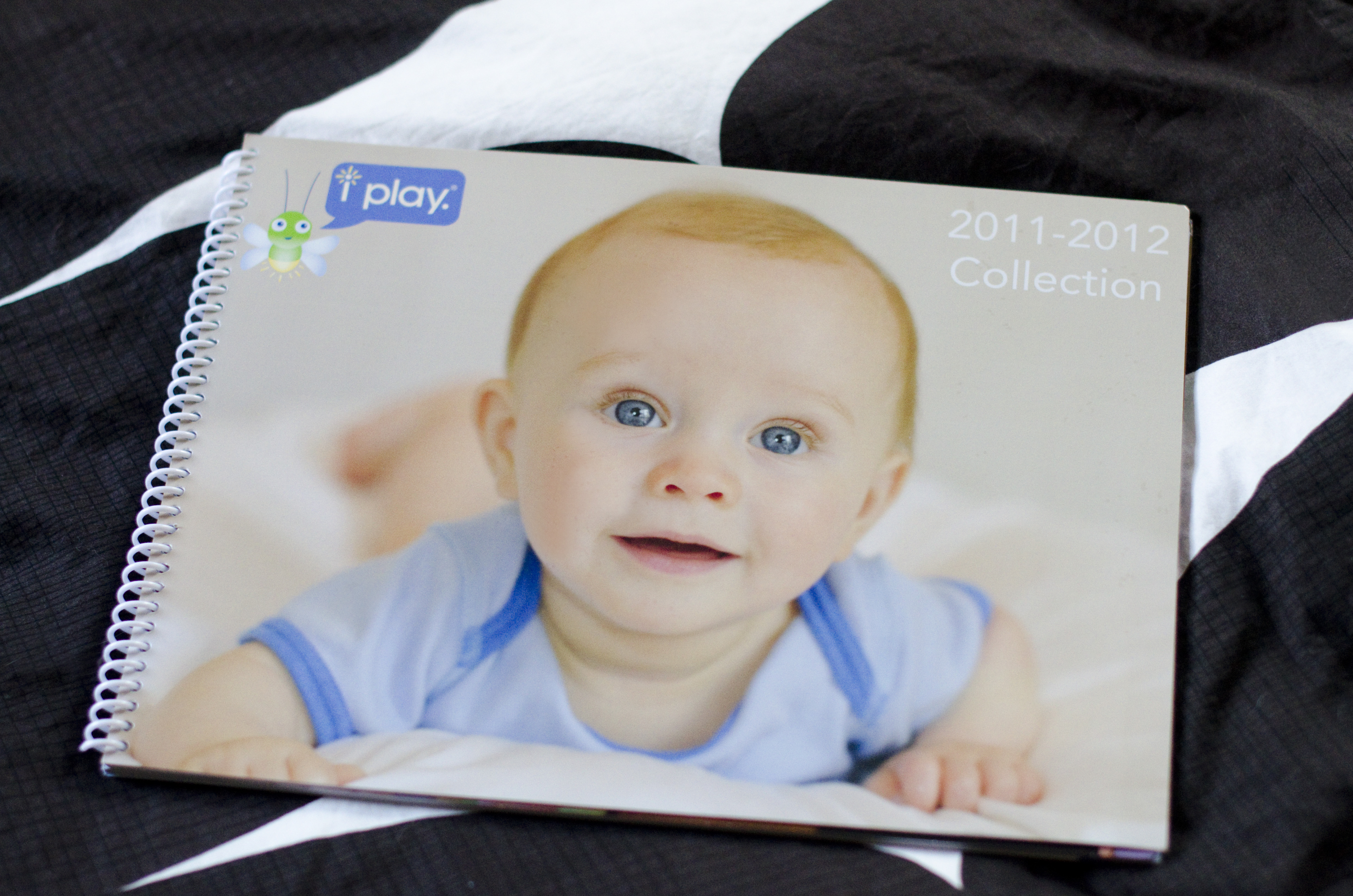 Kaelee Denise Photography