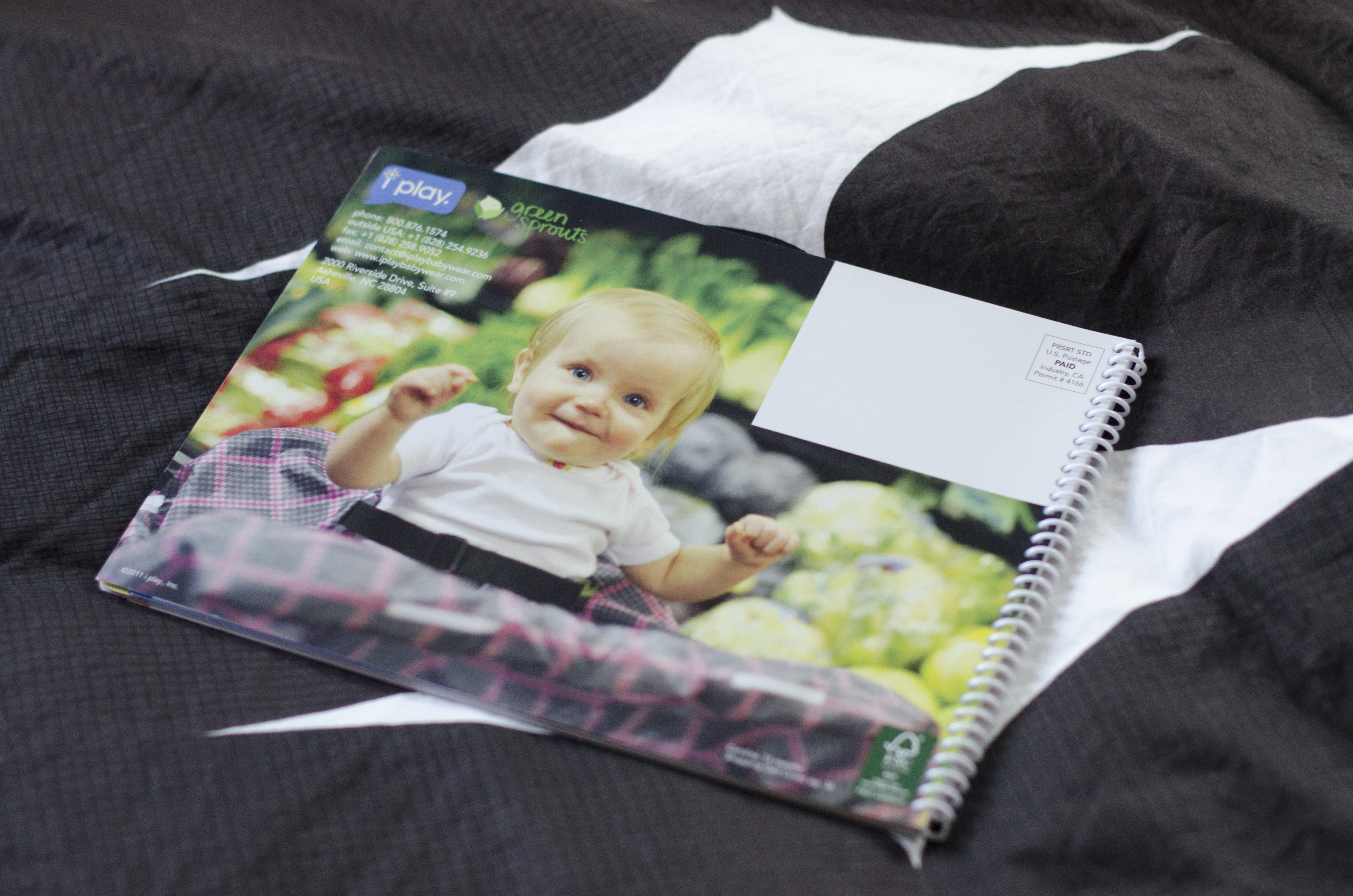 Kaelee Denise Photography