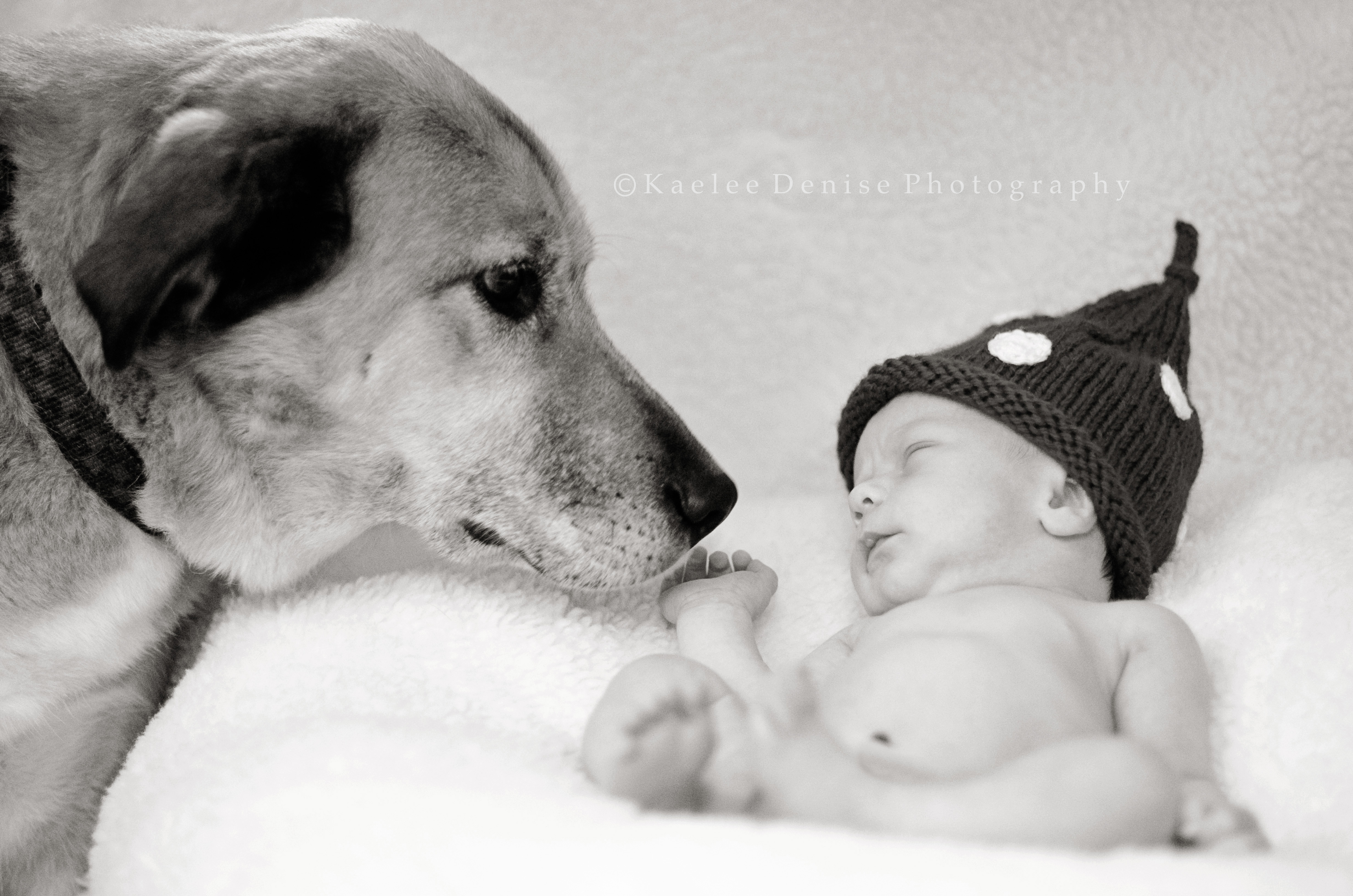 Kaelee Denise Photography