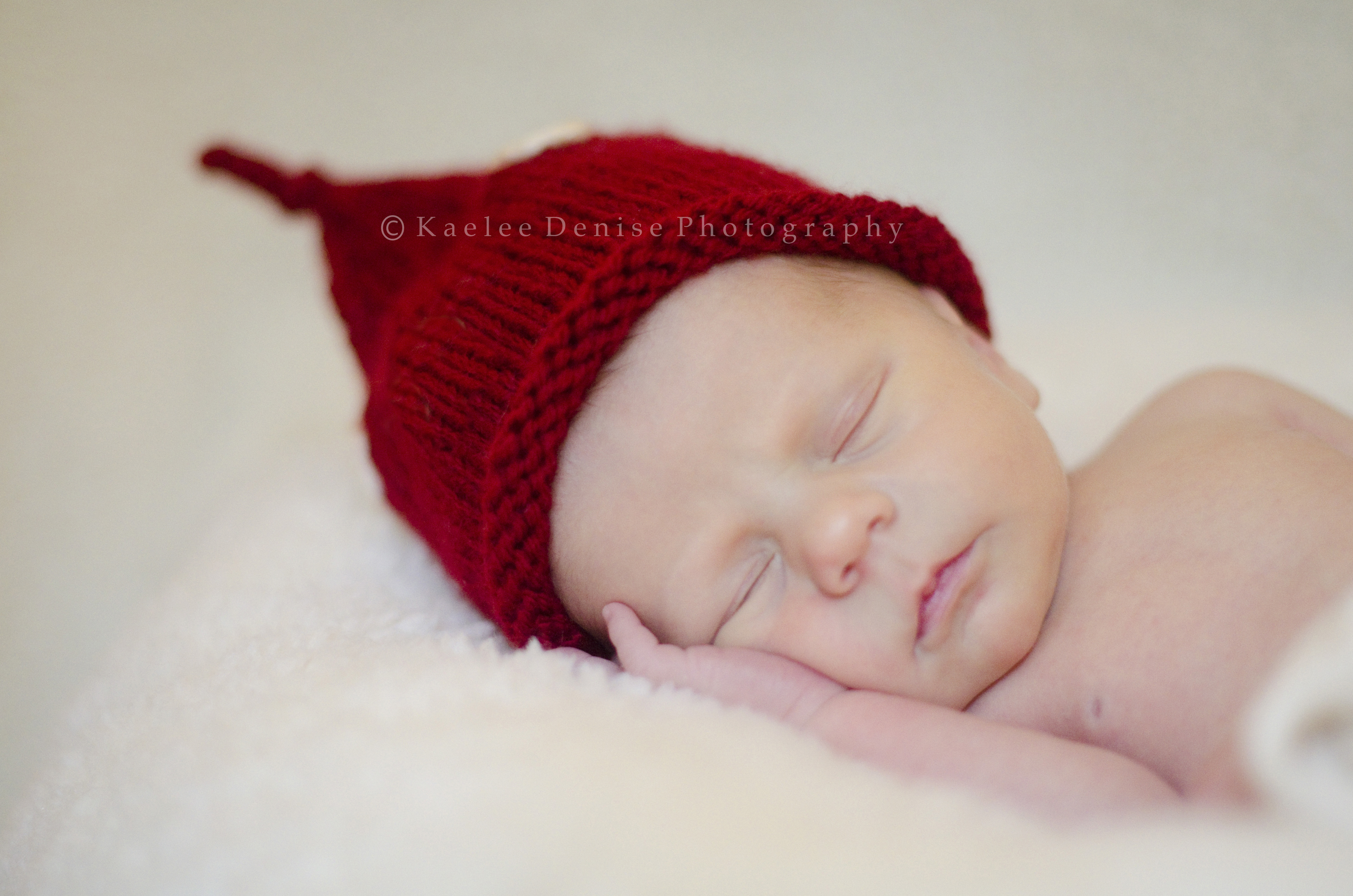 Kaelee Denise Photography