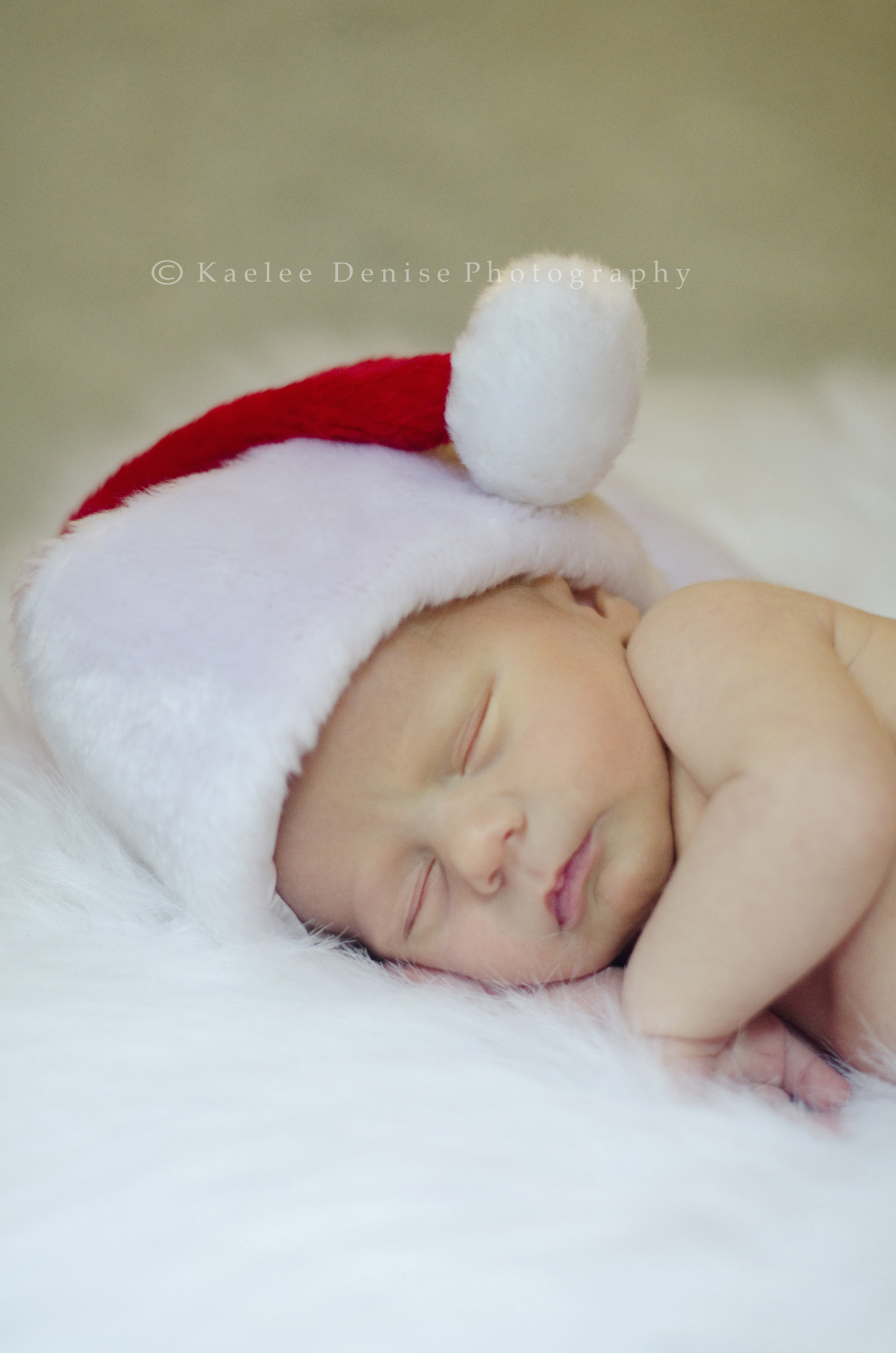 Kaelee Denise Photography