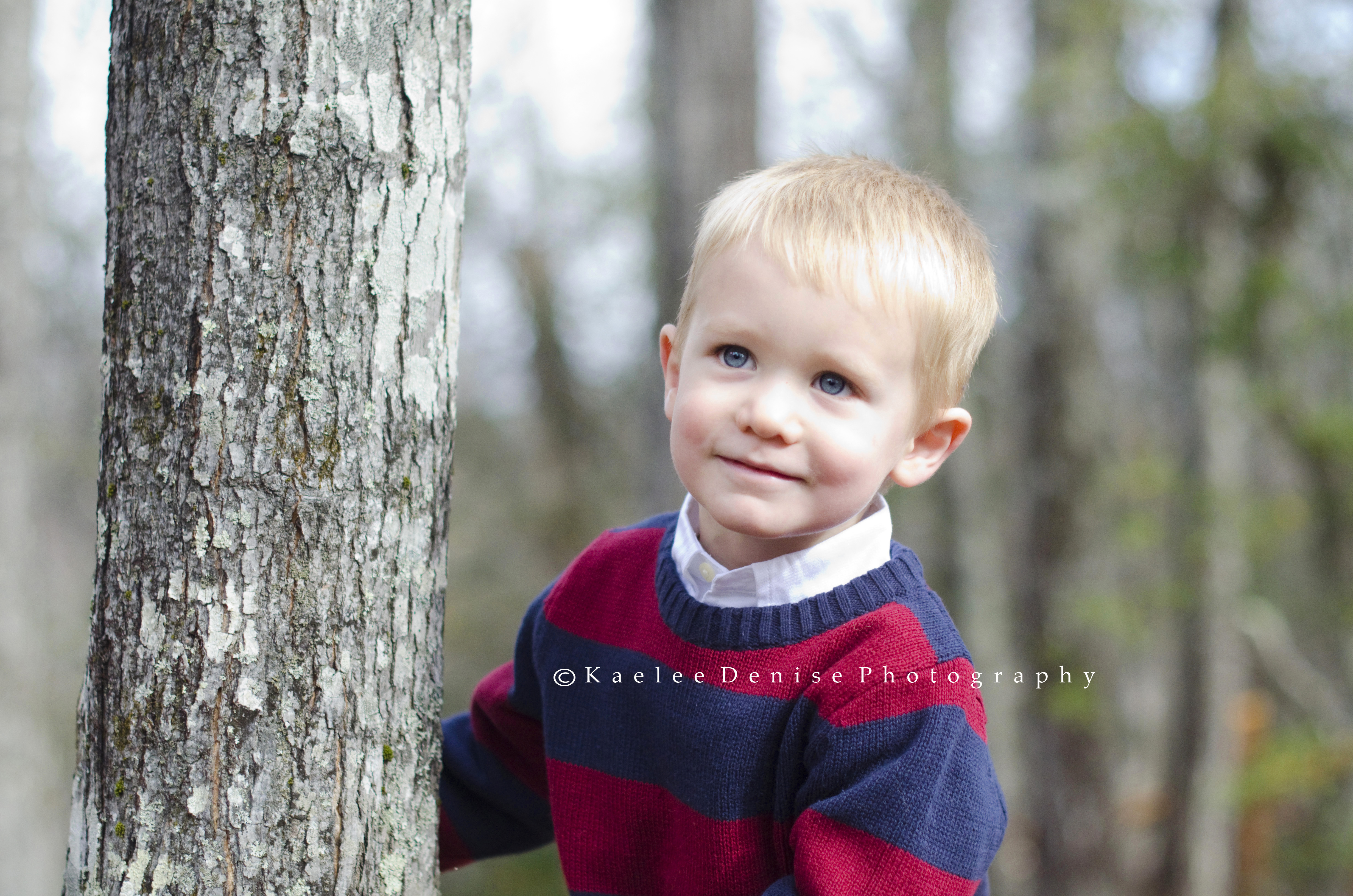 Kaelee Denise Photography