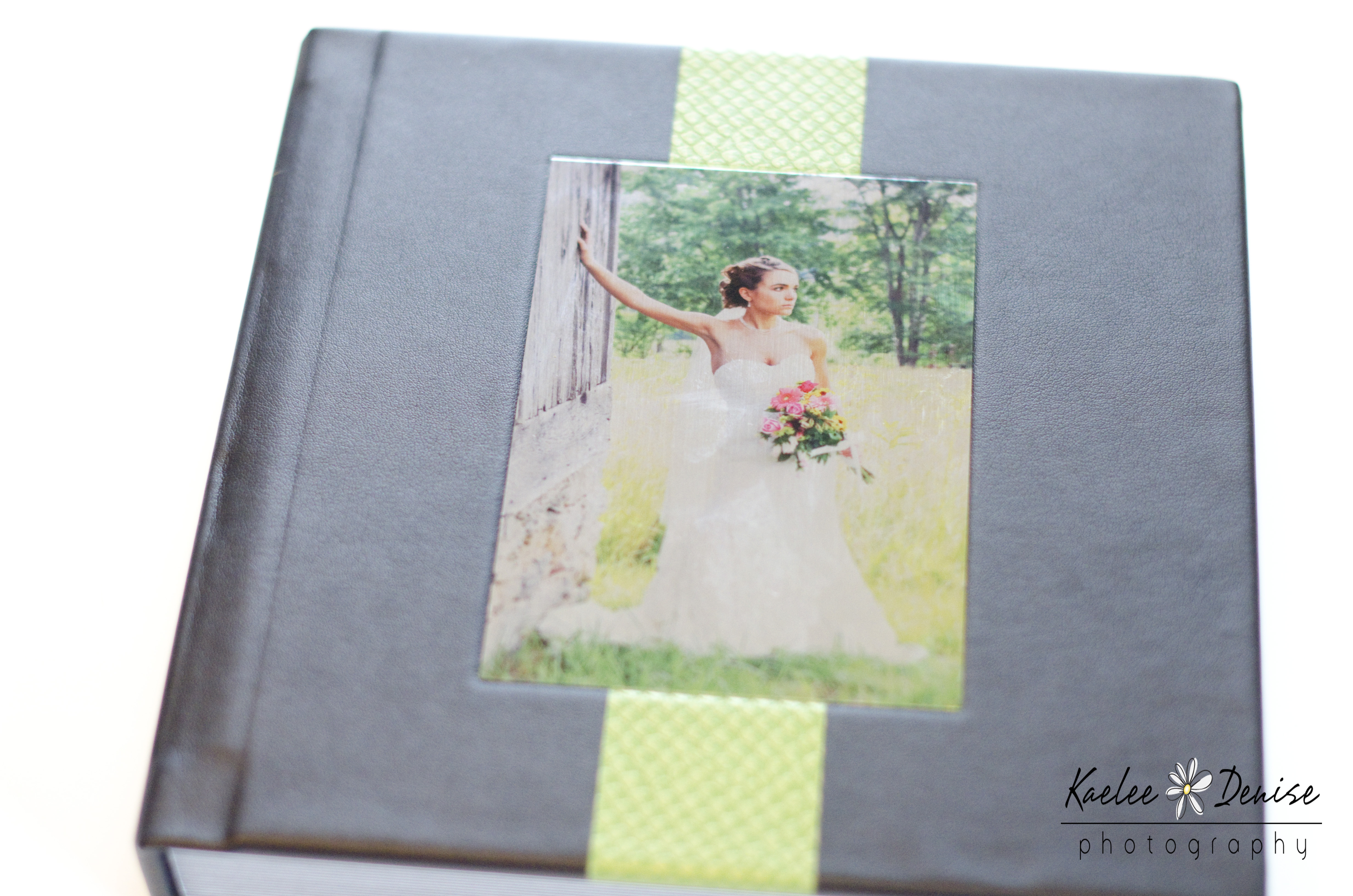 Kaelee Denise Photography