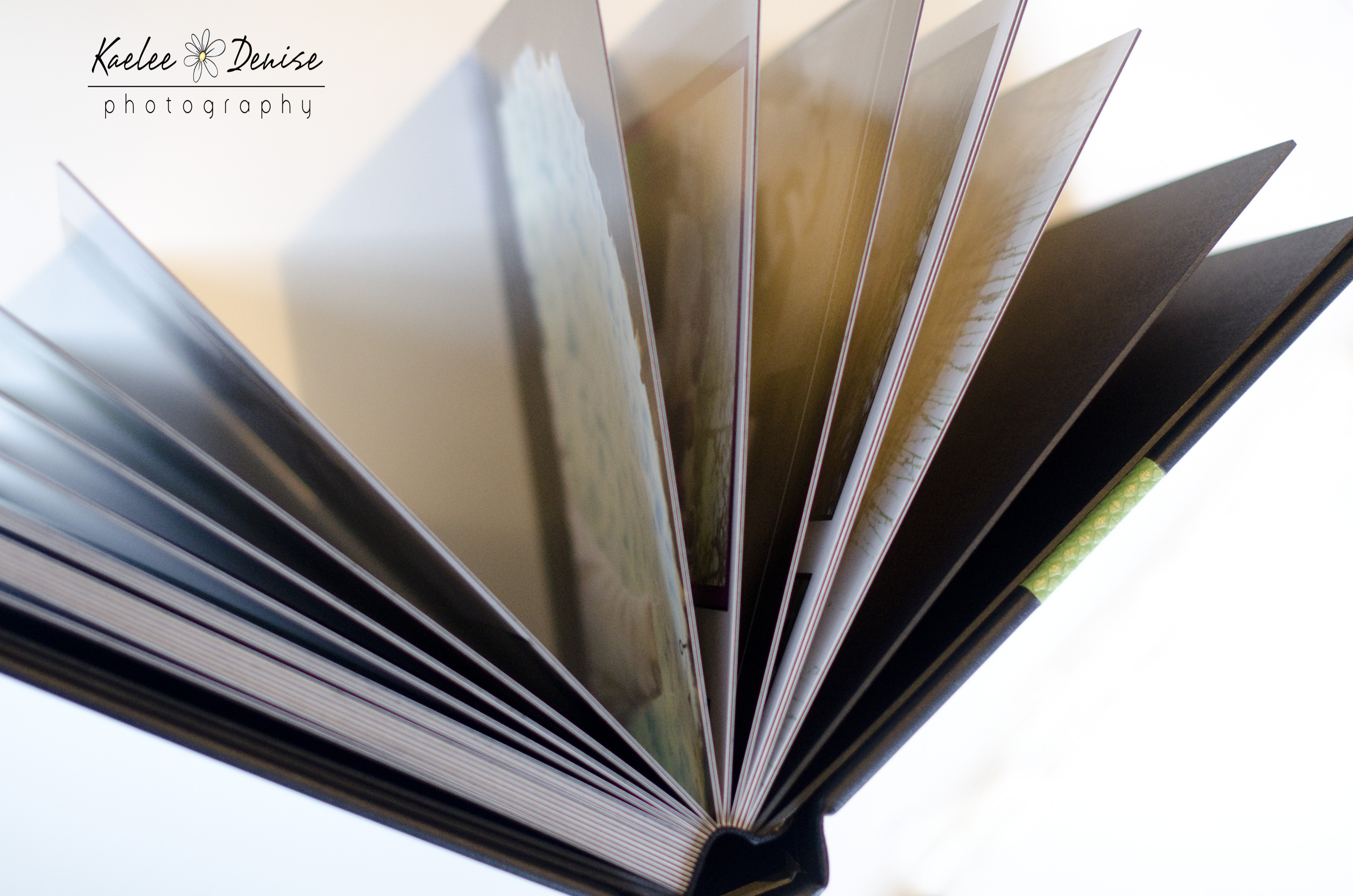 Kaelee Denise Photography