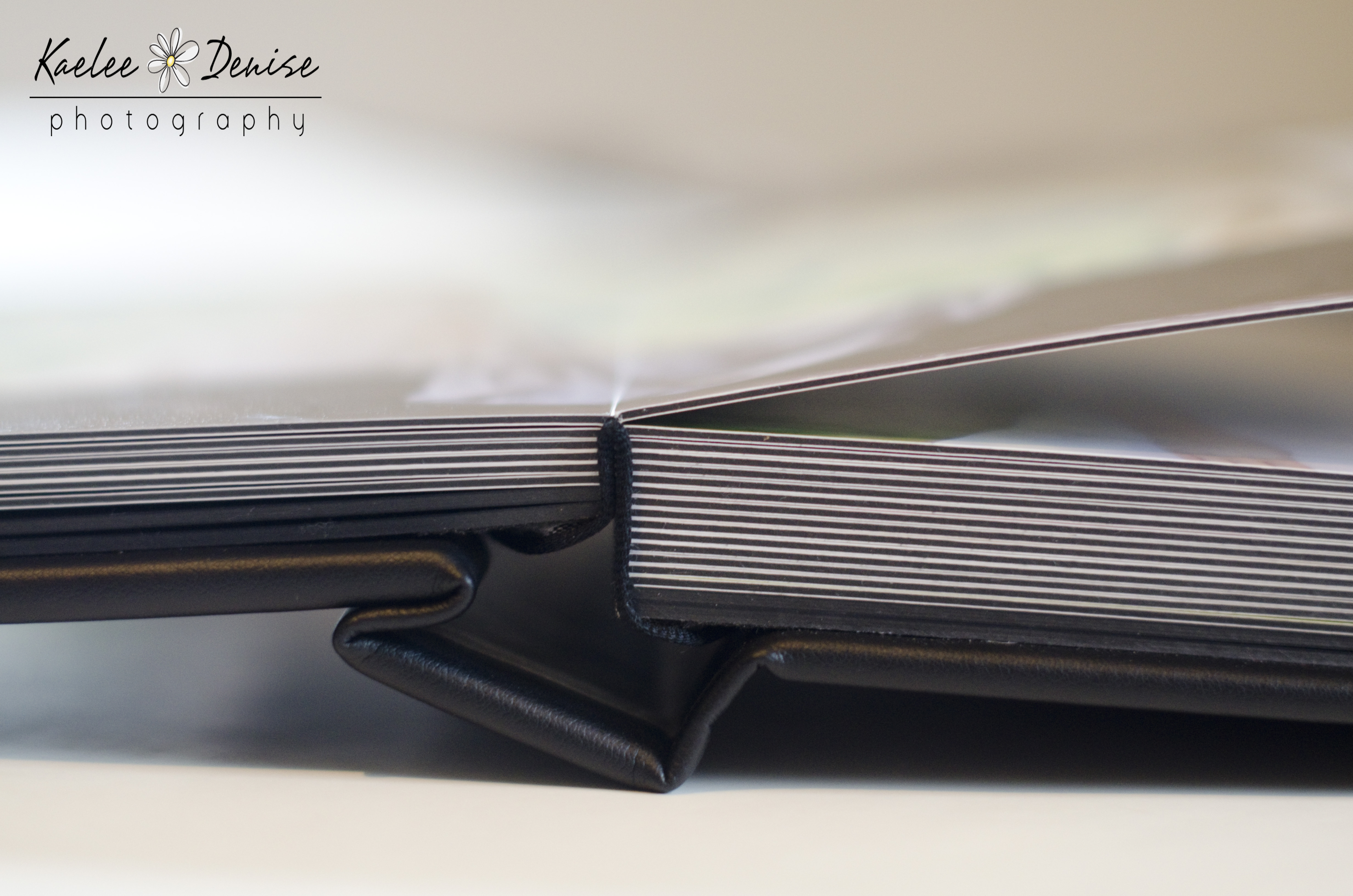 Kaelee Denise Photography