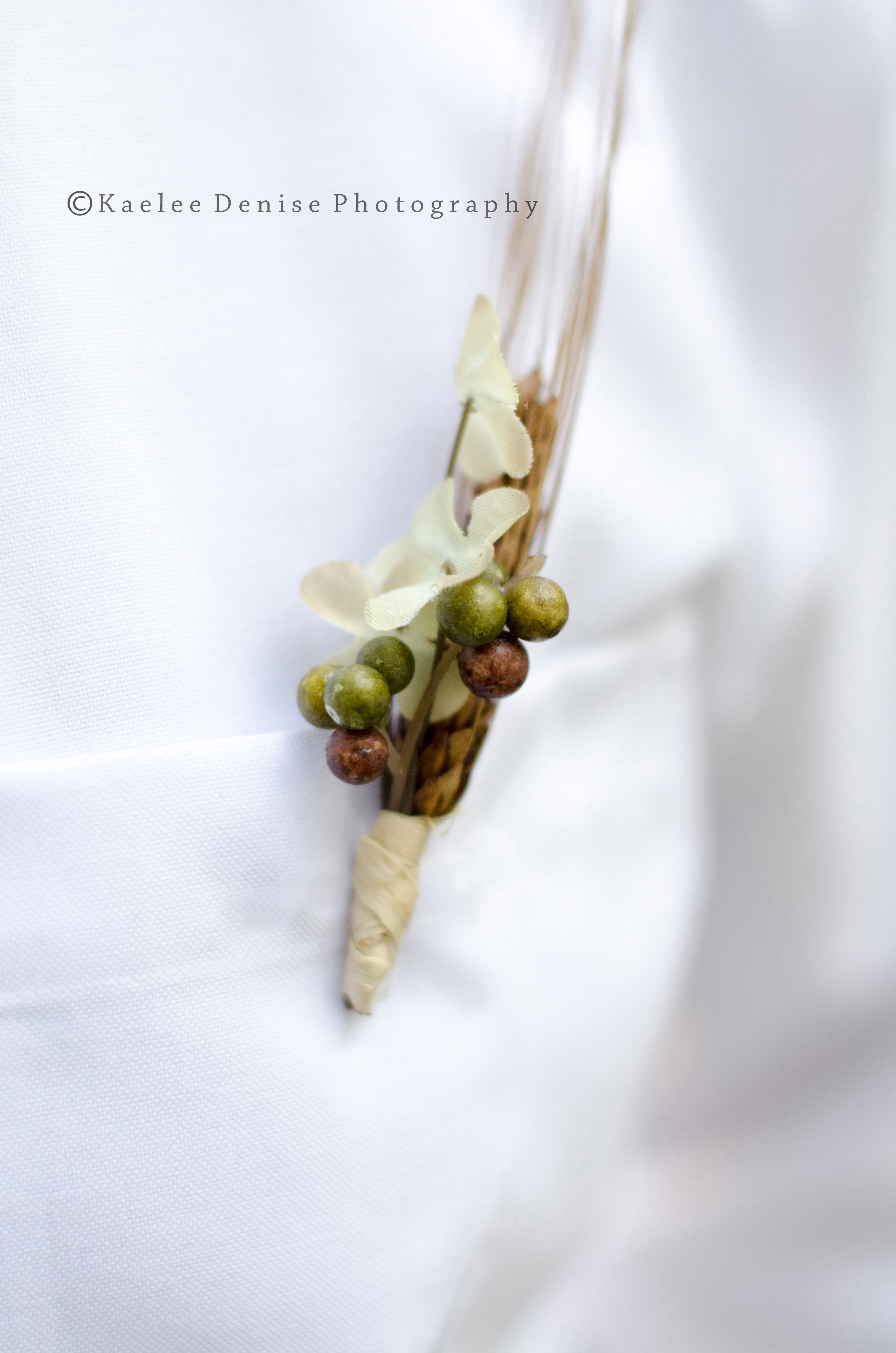 Kaelee Denise Photography