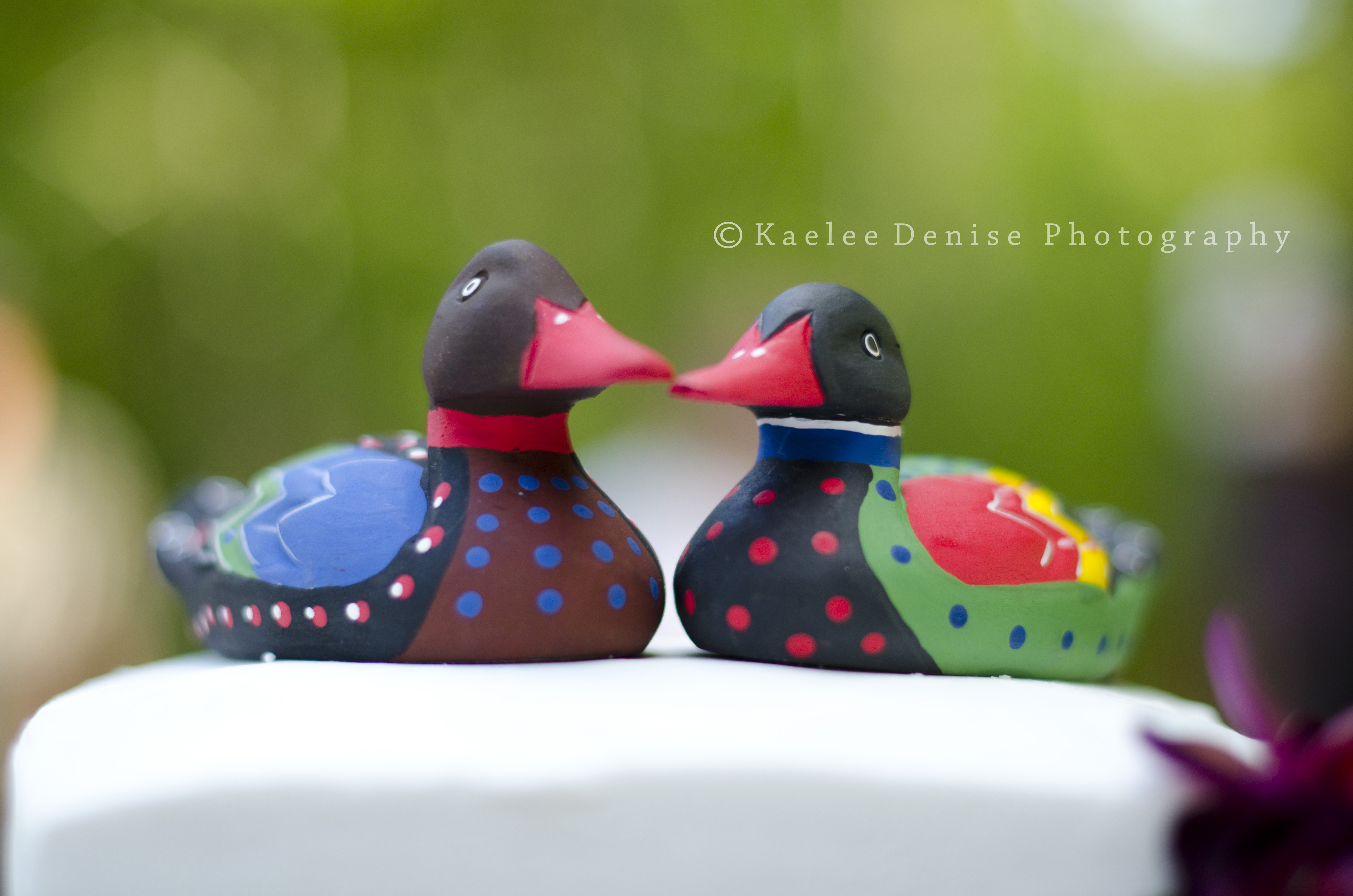 Kaelee Denise Photography