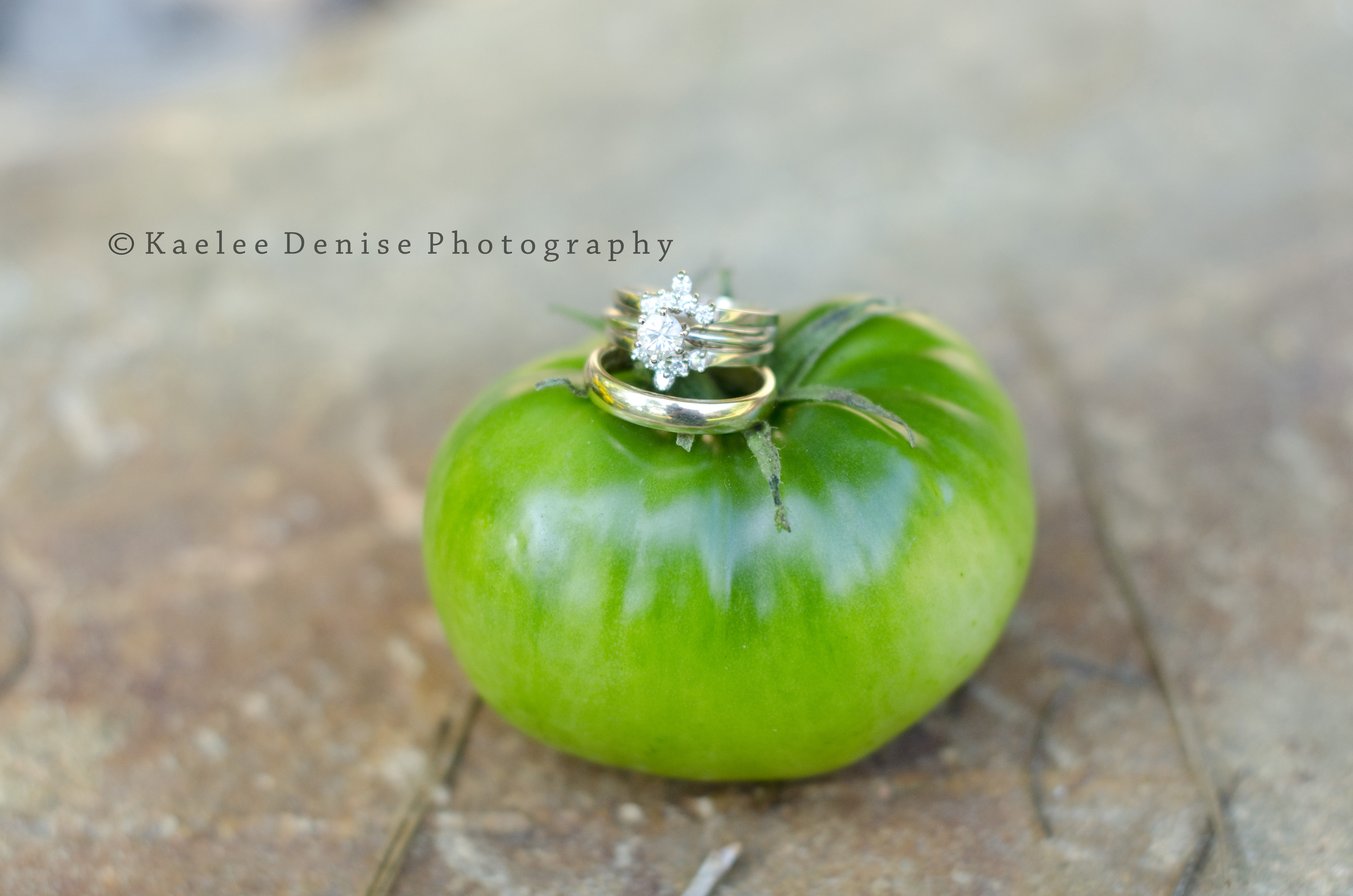 Kaelee Denise Photography