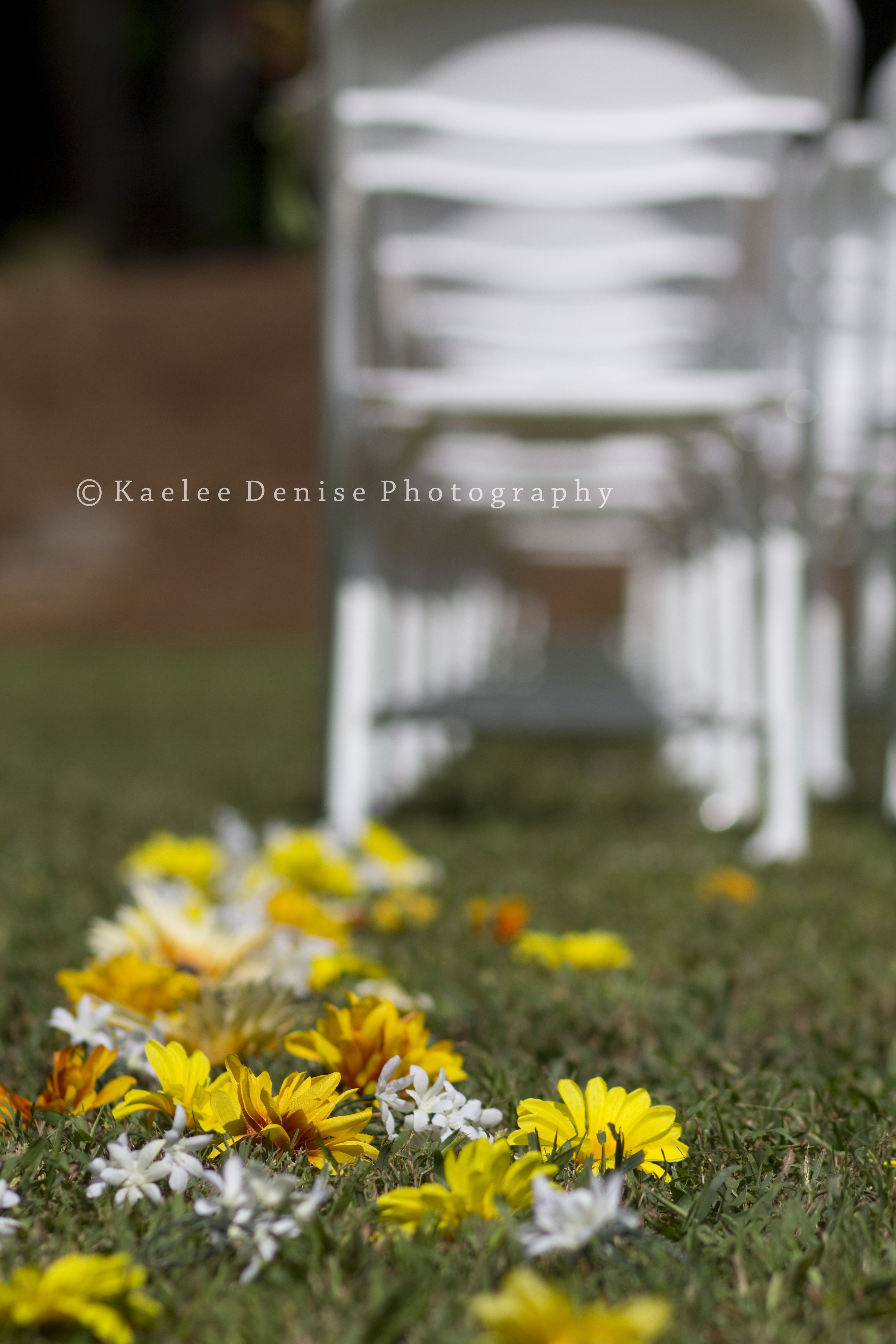 Kaelee Denise Photography