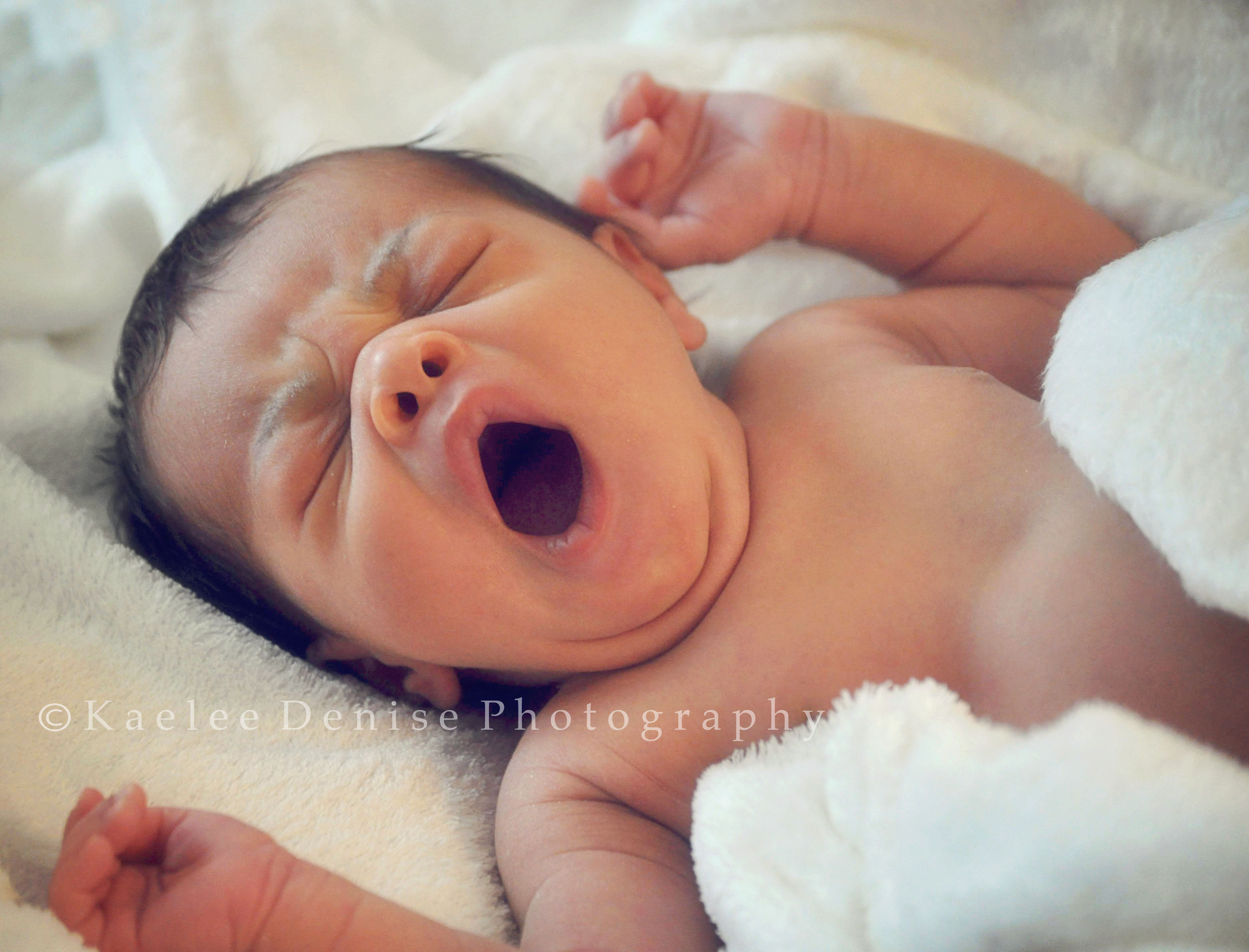 Kaelee Denise Photography