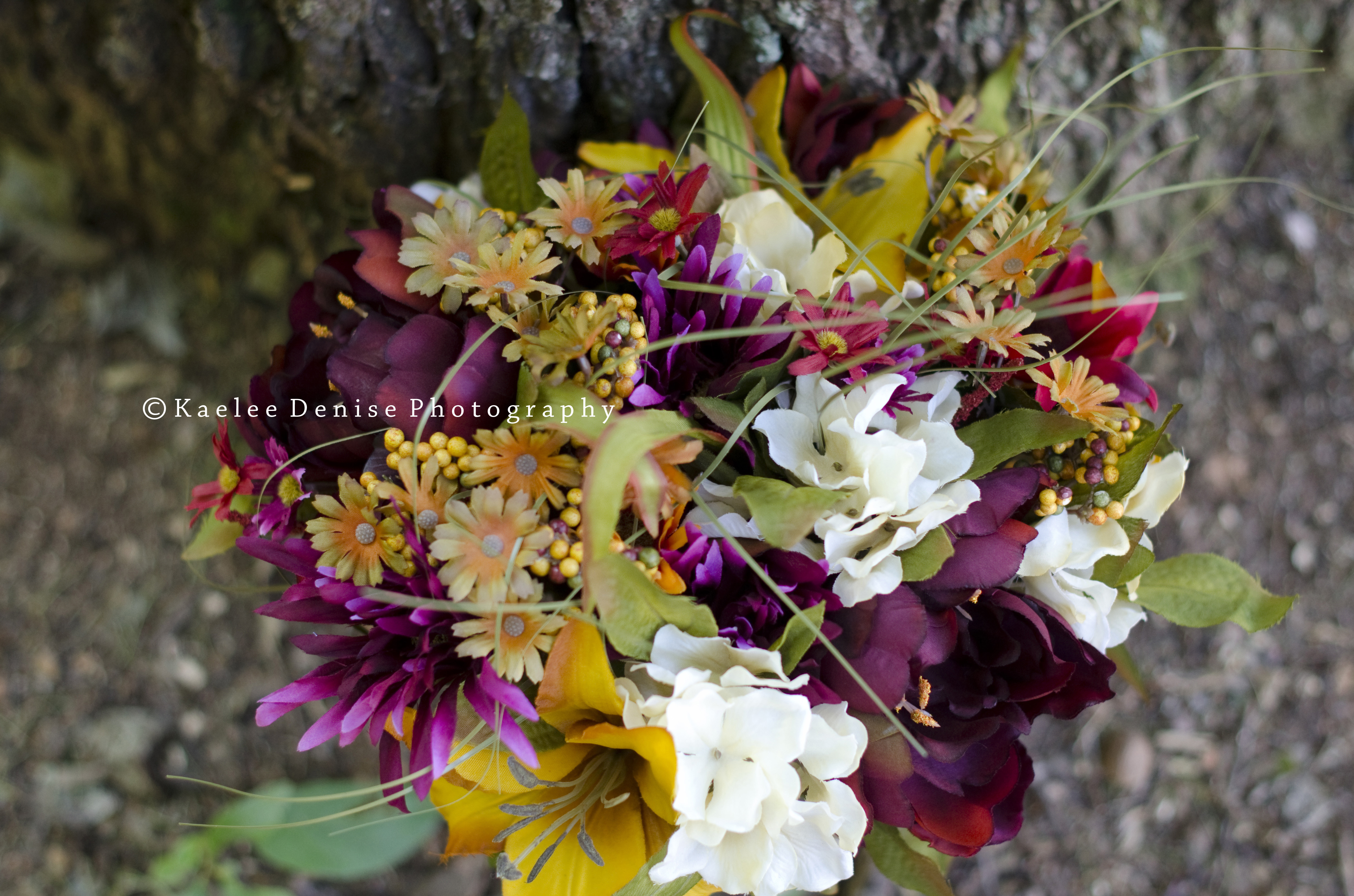 Kaelee Denise Photography