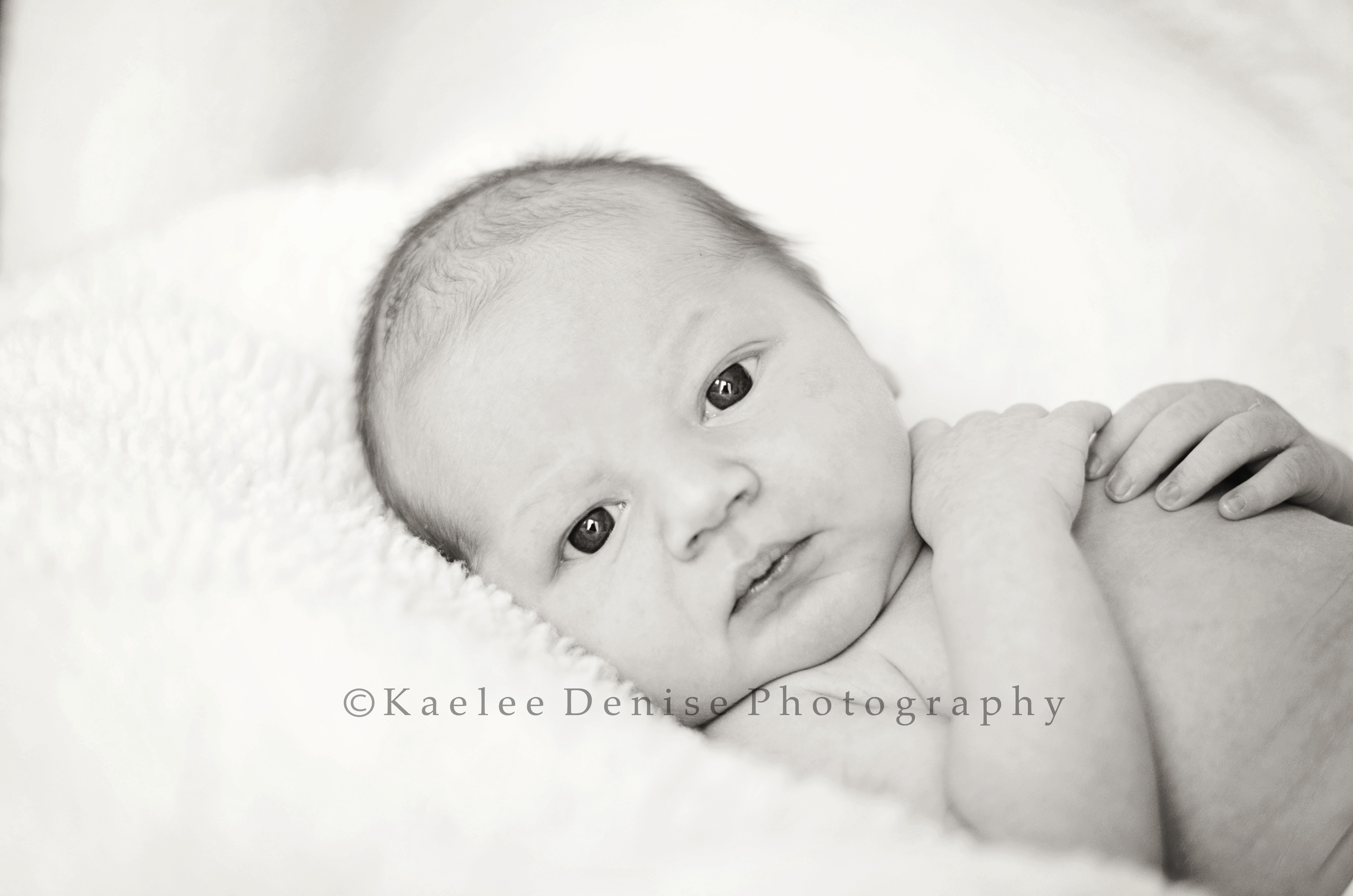 Kaelee Denise Photography